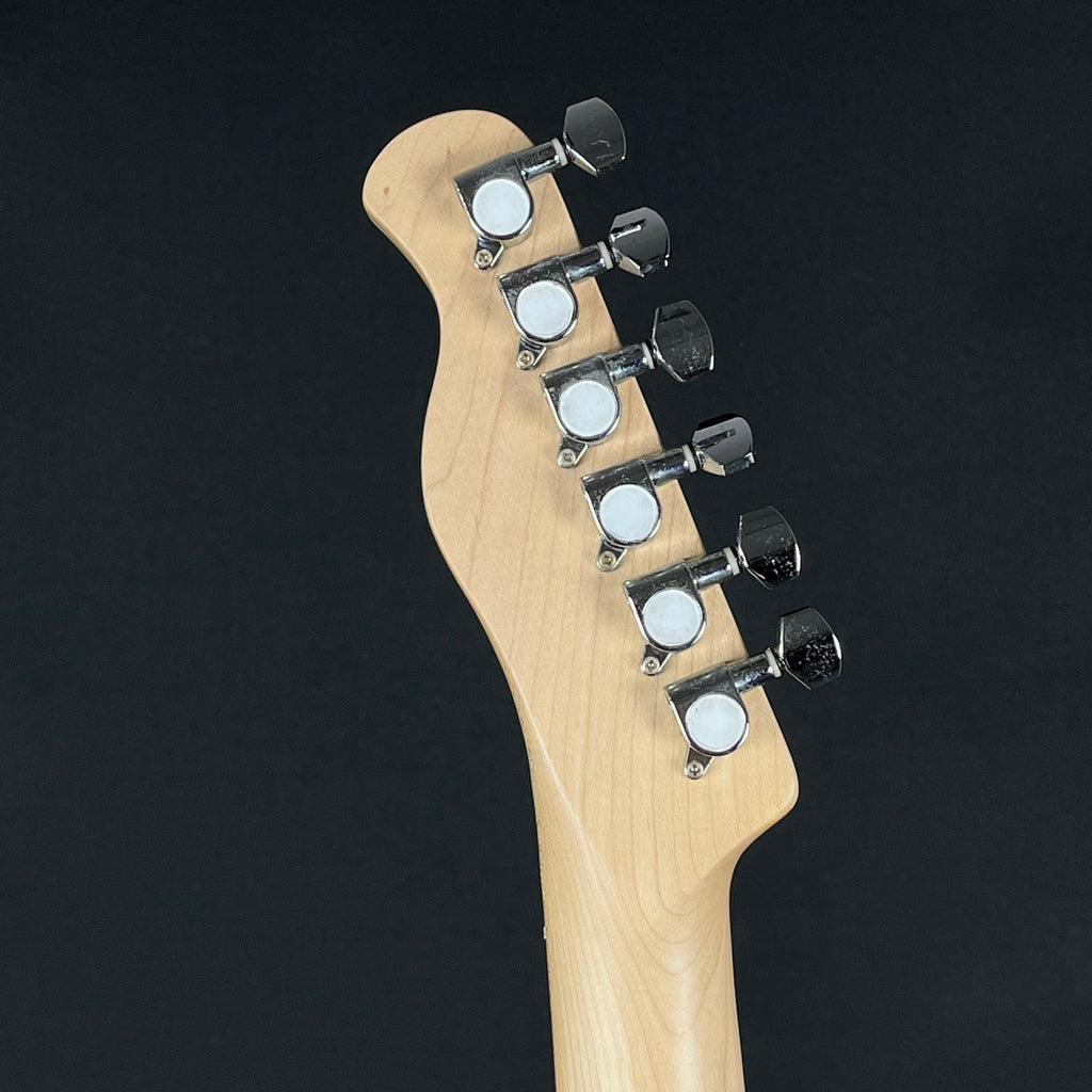 Bacchus Universe Series Telecaster