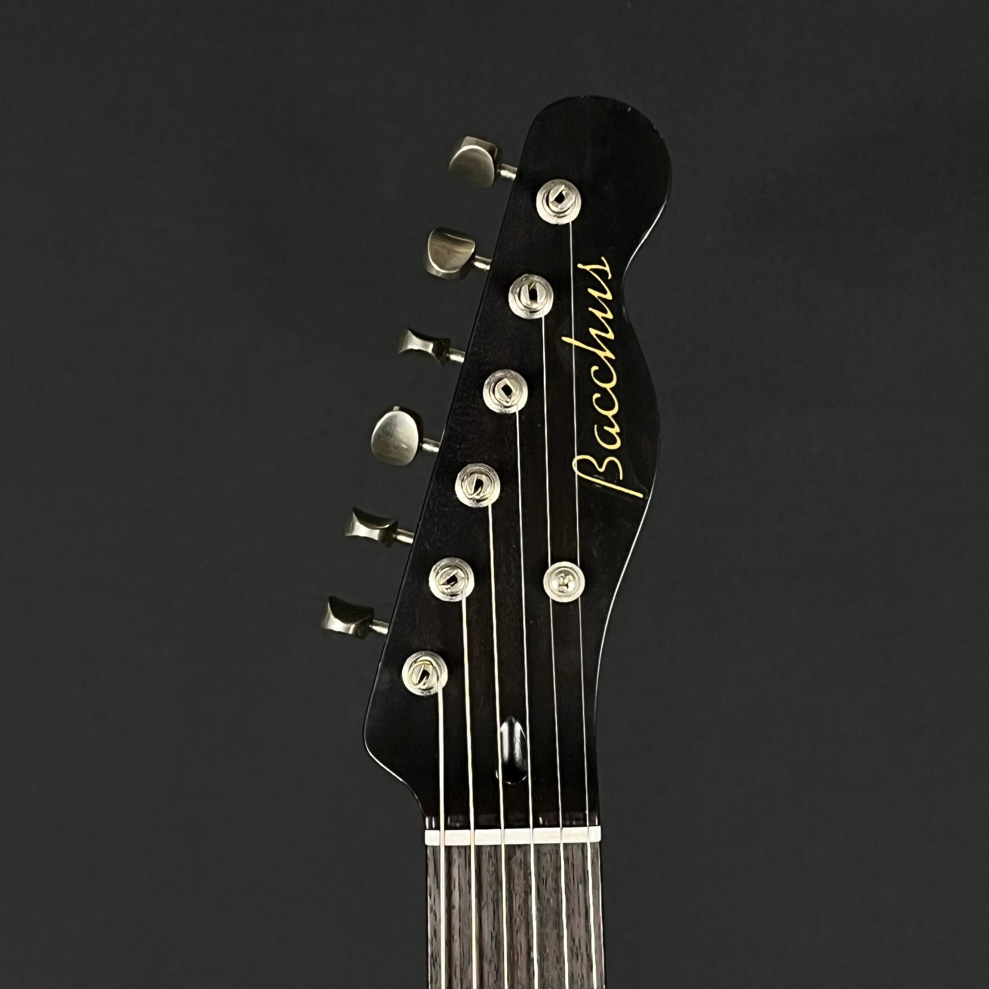 Bacchus Global Telecaster Thinline