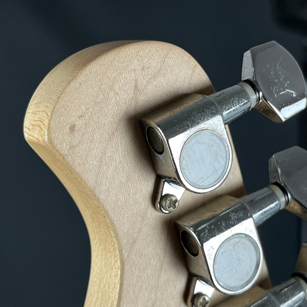 Bacchus Universe Series Telecaster
