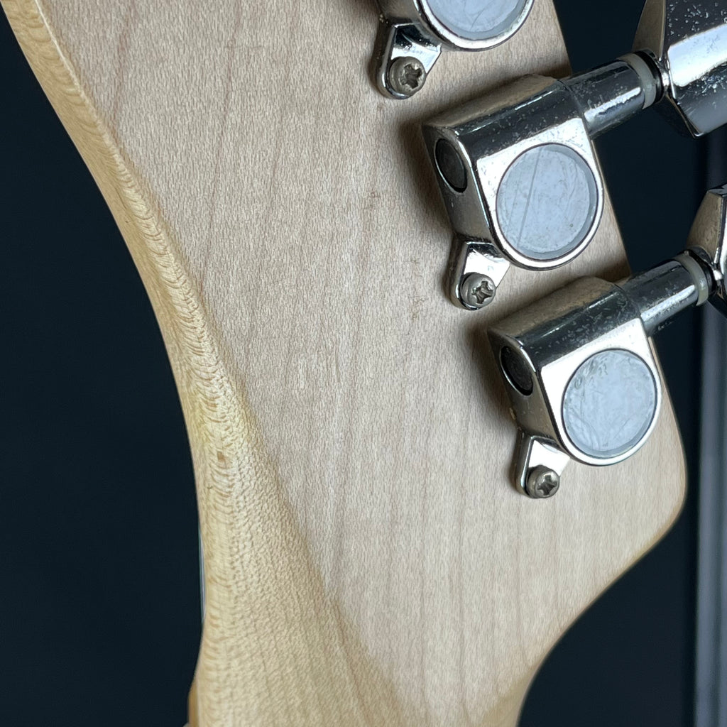Bacchus Universe Series Telecaster