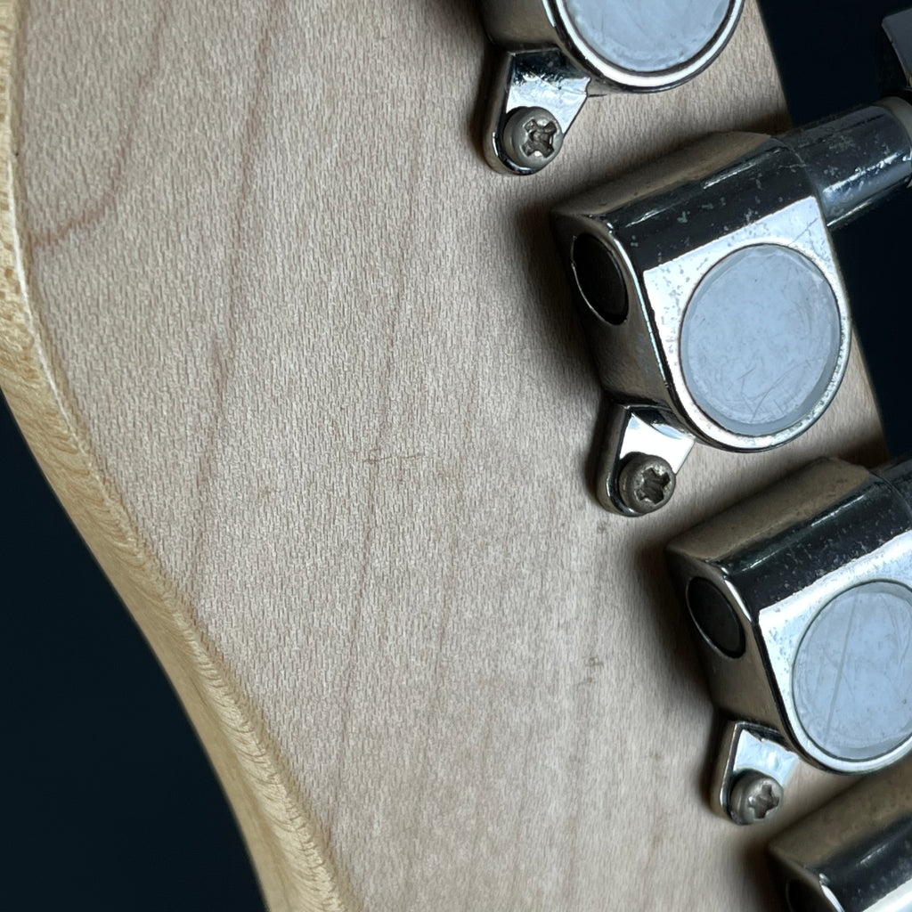 Bacchus Universe Series Telecaster