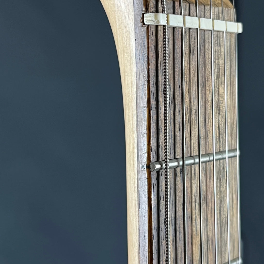 Bacchus Universe Series Telecaster