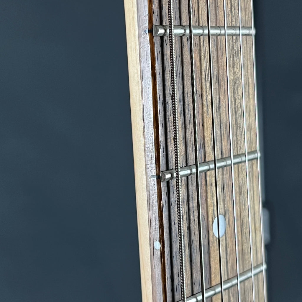 Bacchus Universe Series Telecaster