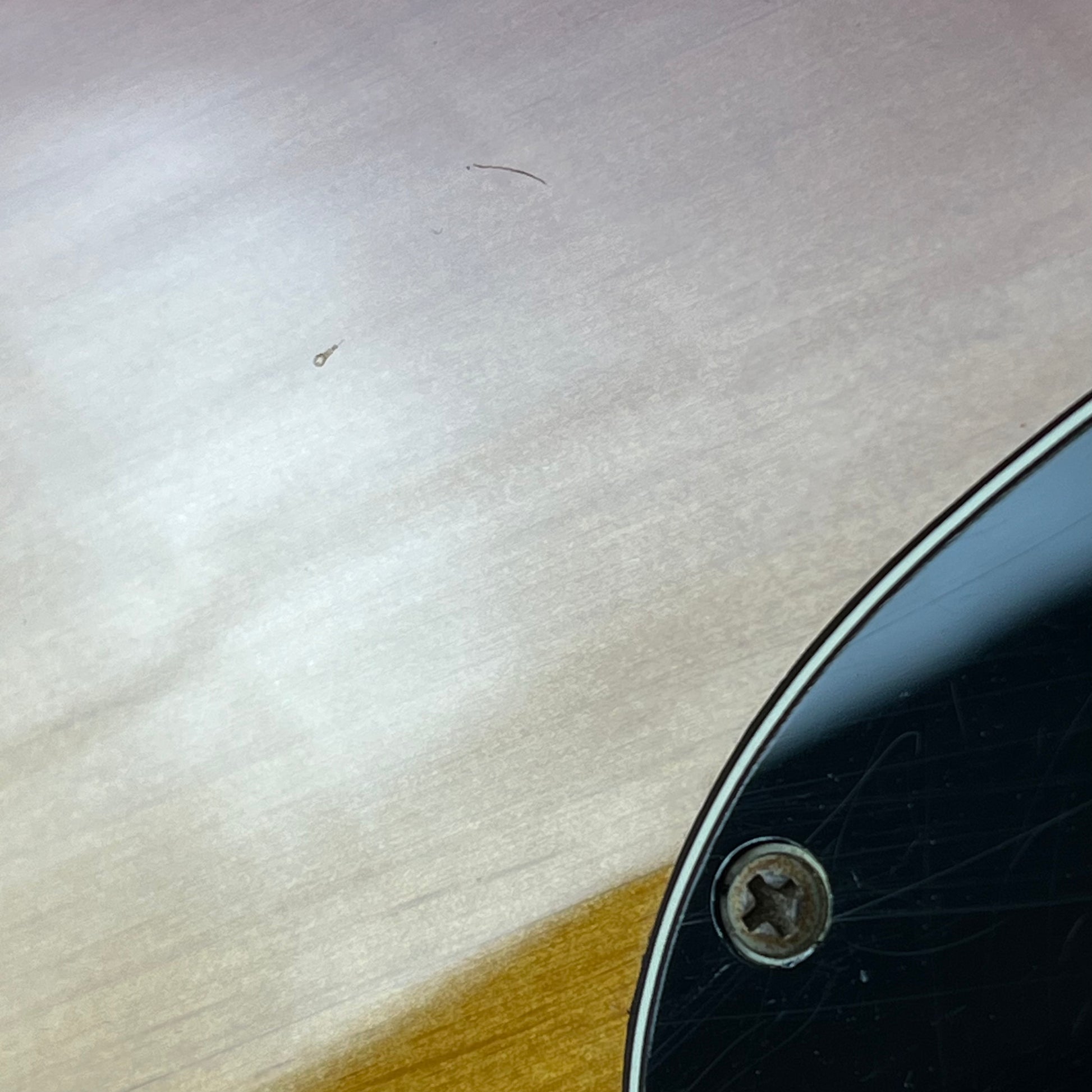 Fender Player Mustang