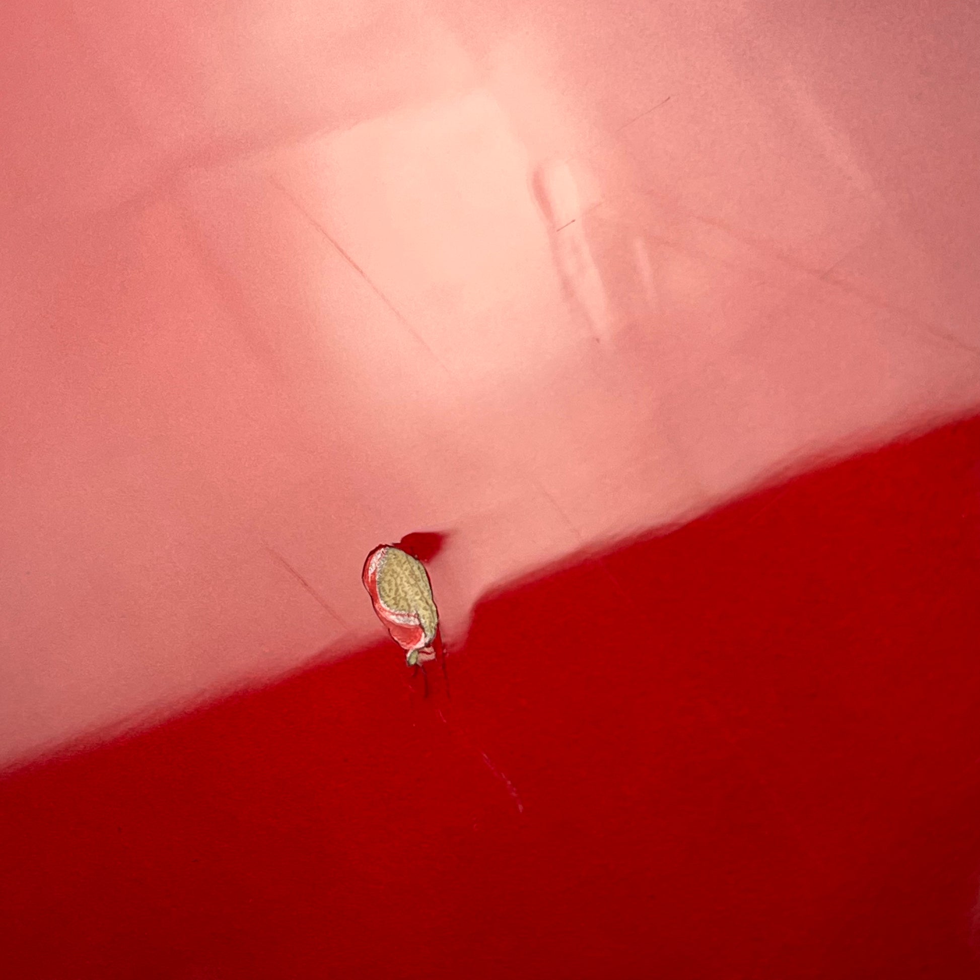 Squier Affinity Jazz Bass