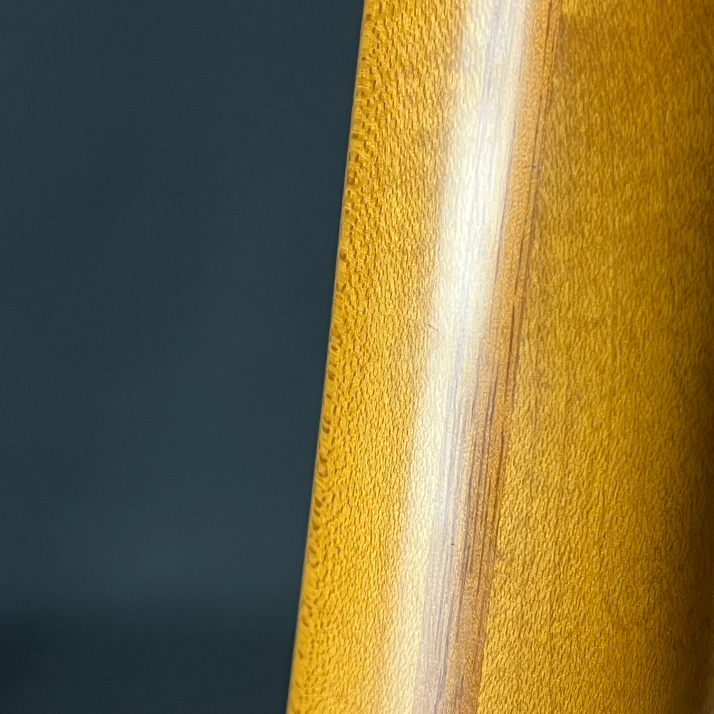 Fender Mexico Deluxe Power House Stratocaster 1998