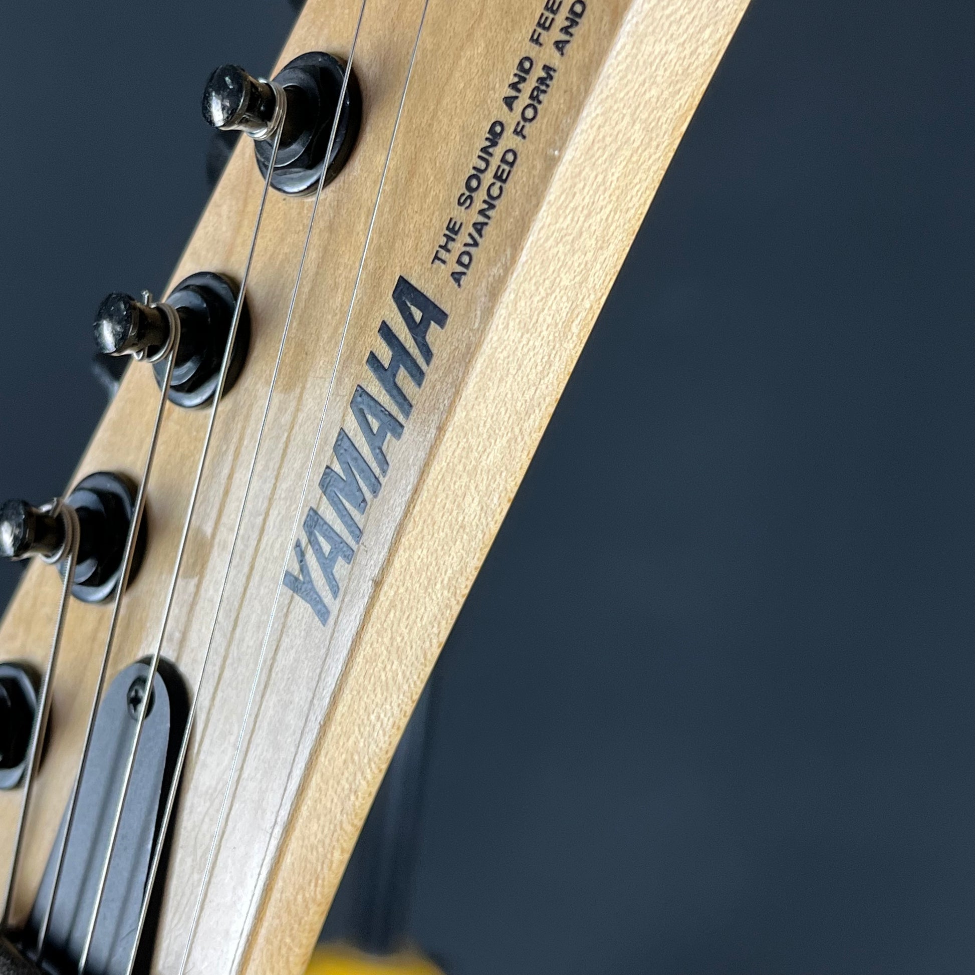 YAMAHA Japan MG-M2G