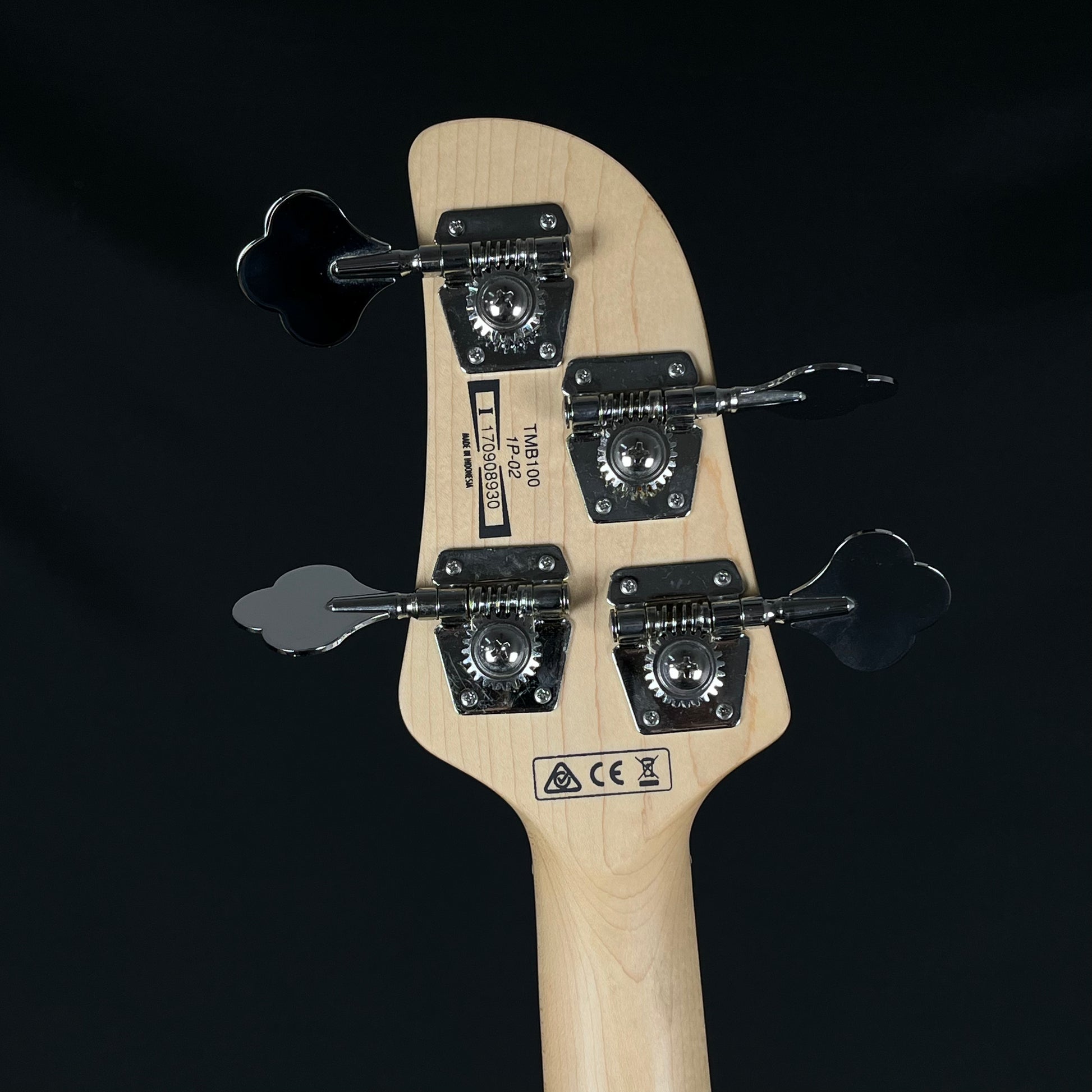 Ibanez TMB100 Bass