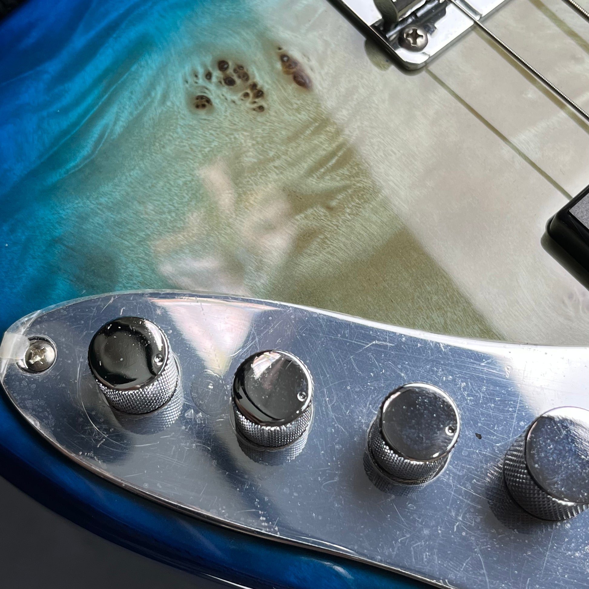 Bacchus WJB5-BP Active