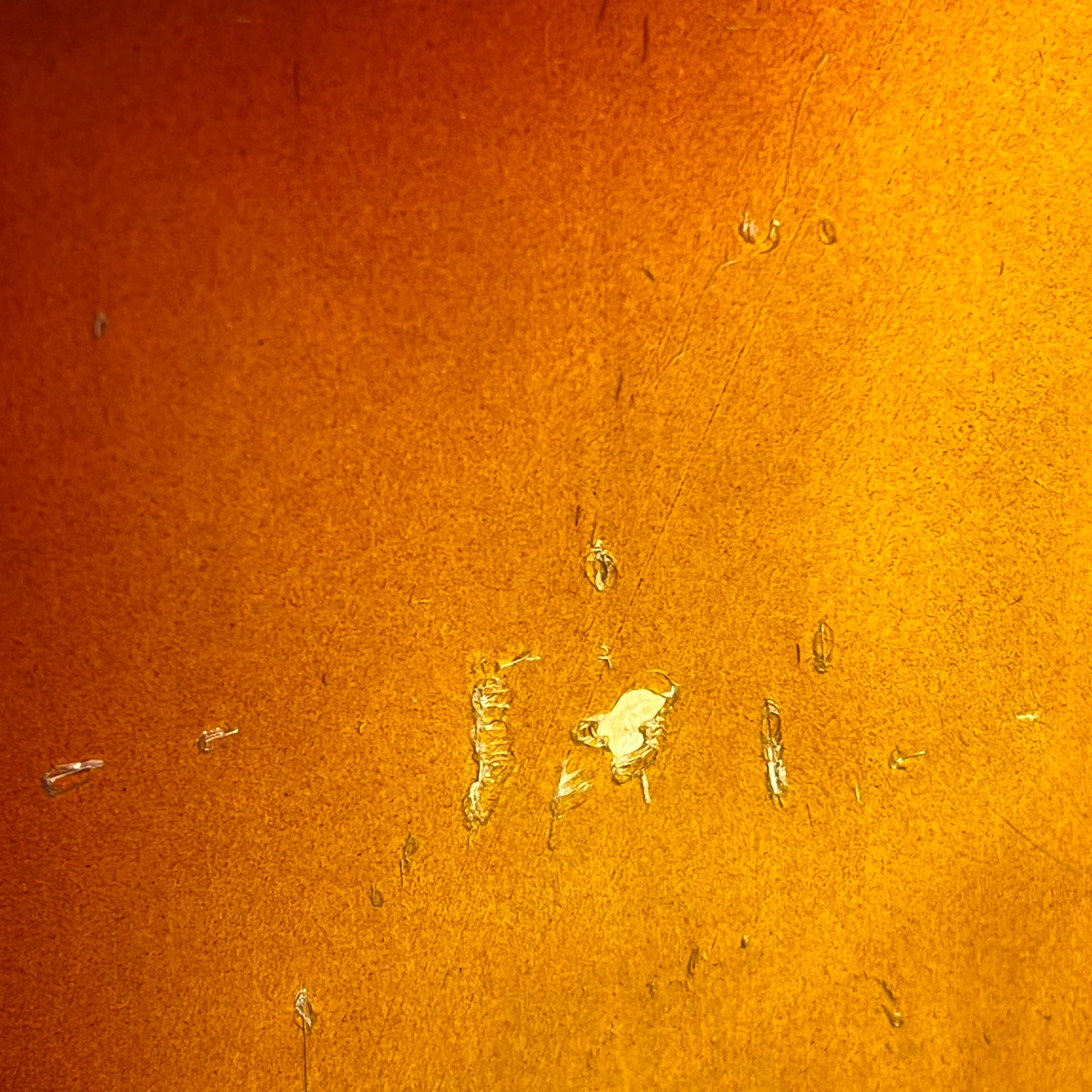 Squier Japan JV Series Precision Bass 1982-1984