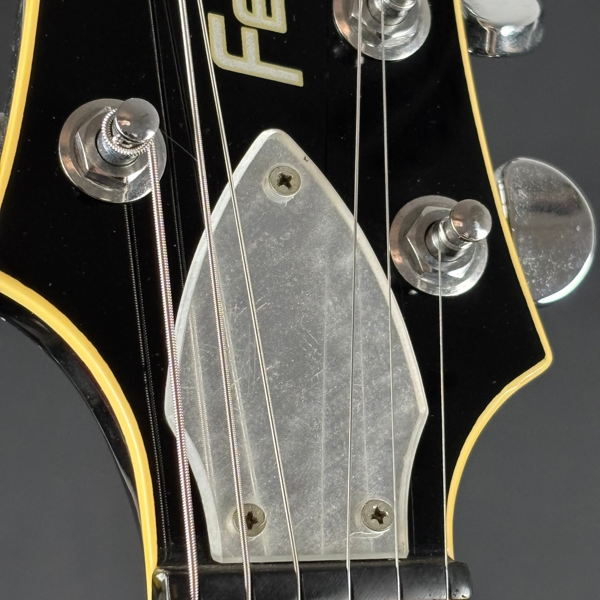 Fernandes Ravelle Steeler