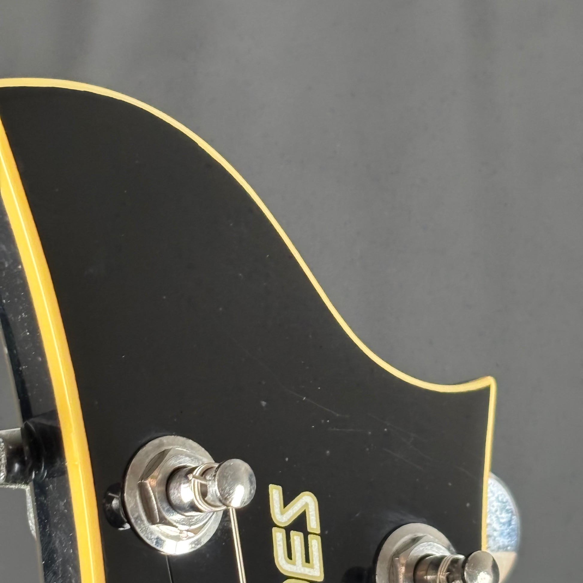 Fernandes Ravelle Steeler