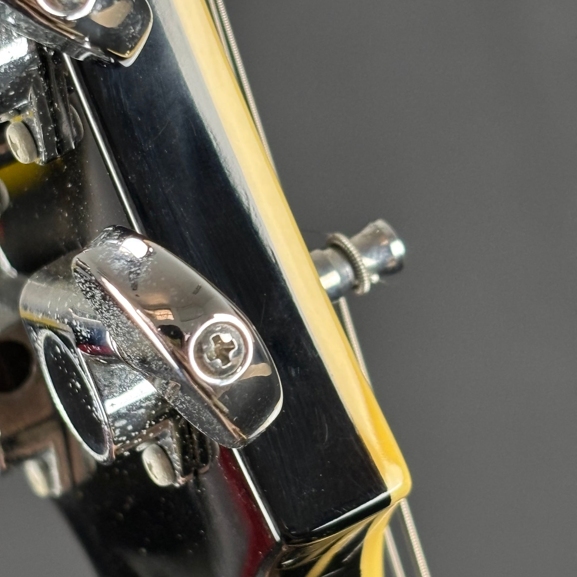 Fernandes Ravelle Steeler