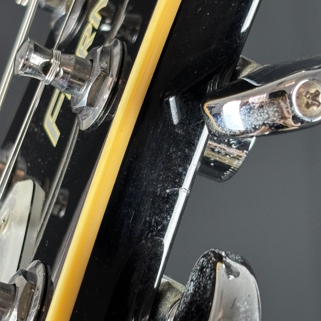 Fernandes Ravelle Steeler