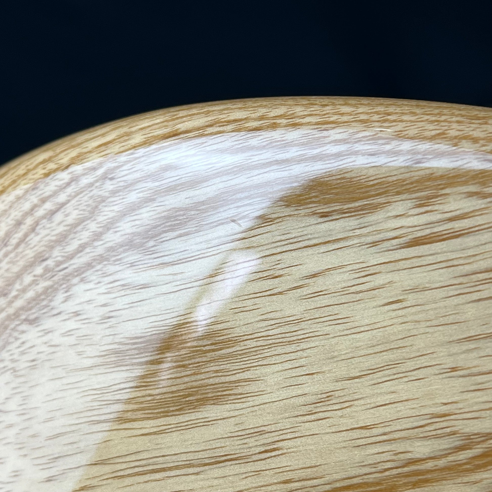 Fender Japan Traditional ll 70s Stratocaster 2022