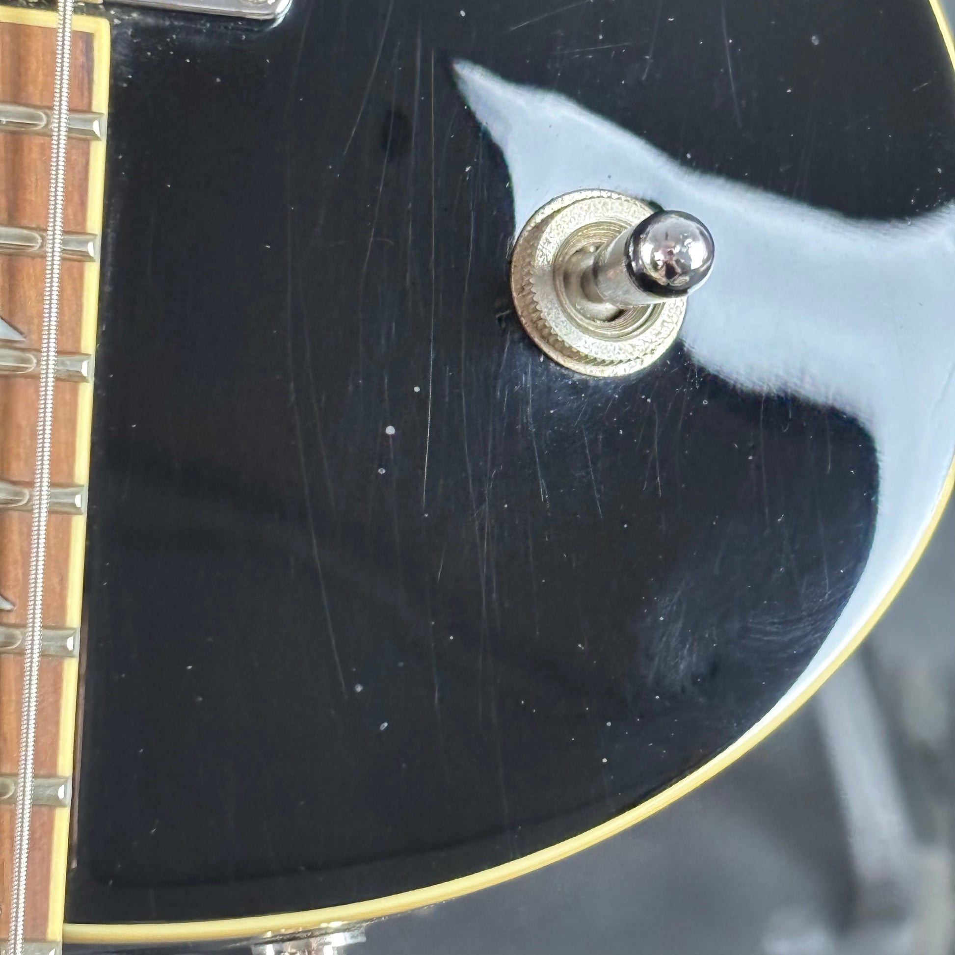 Fernandes Ravelle Steeler