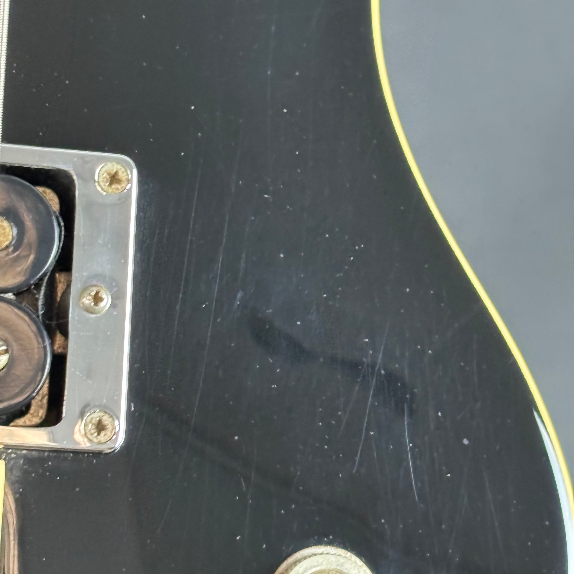 Fernandes Ravelle Steeler