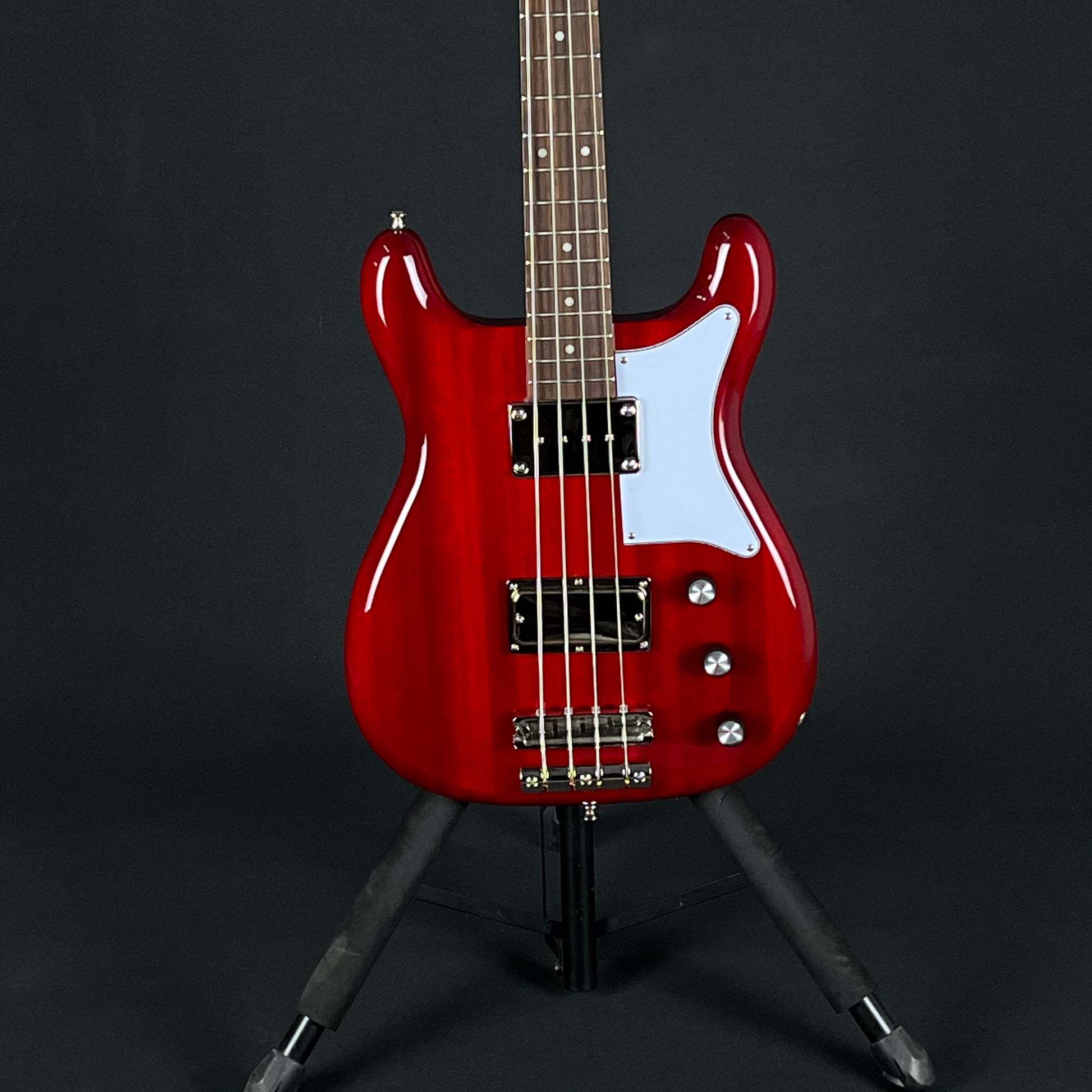 Epiphone Newport Bass 2023