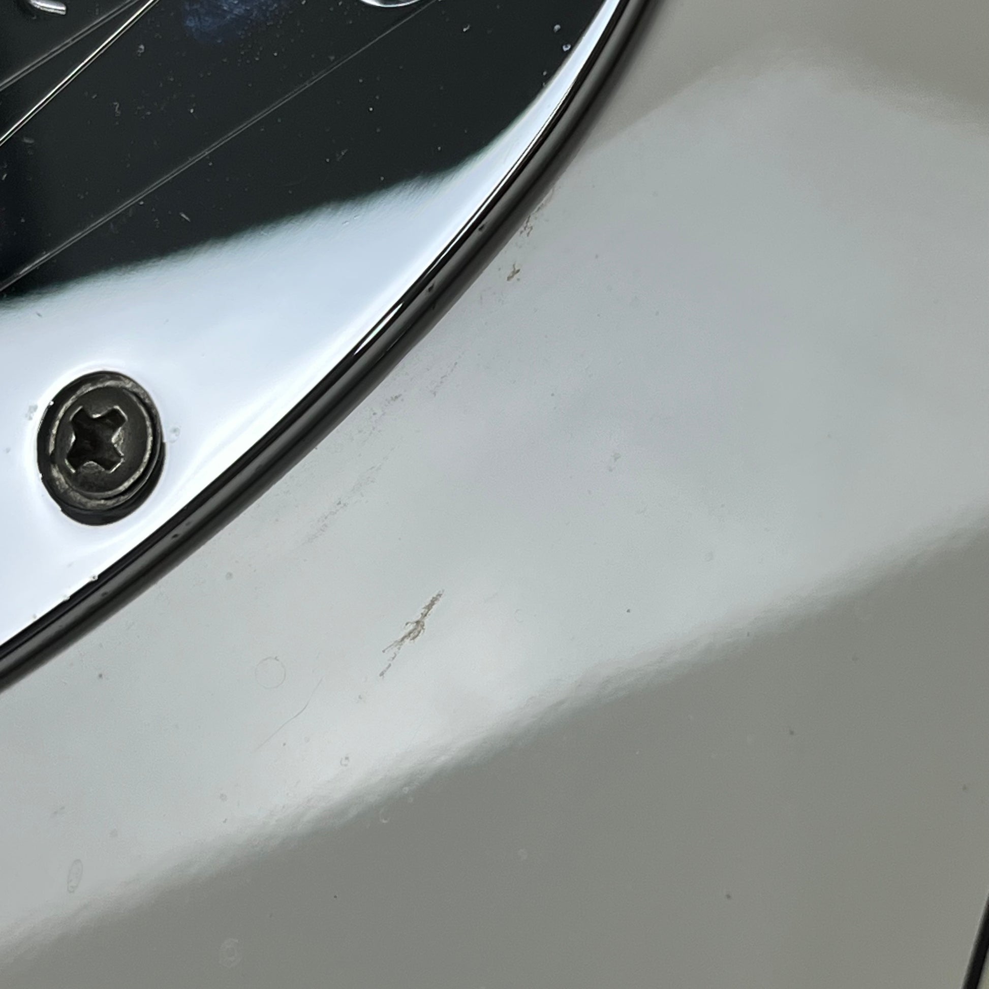 Fender Player Jazzmaster PW PF 2019