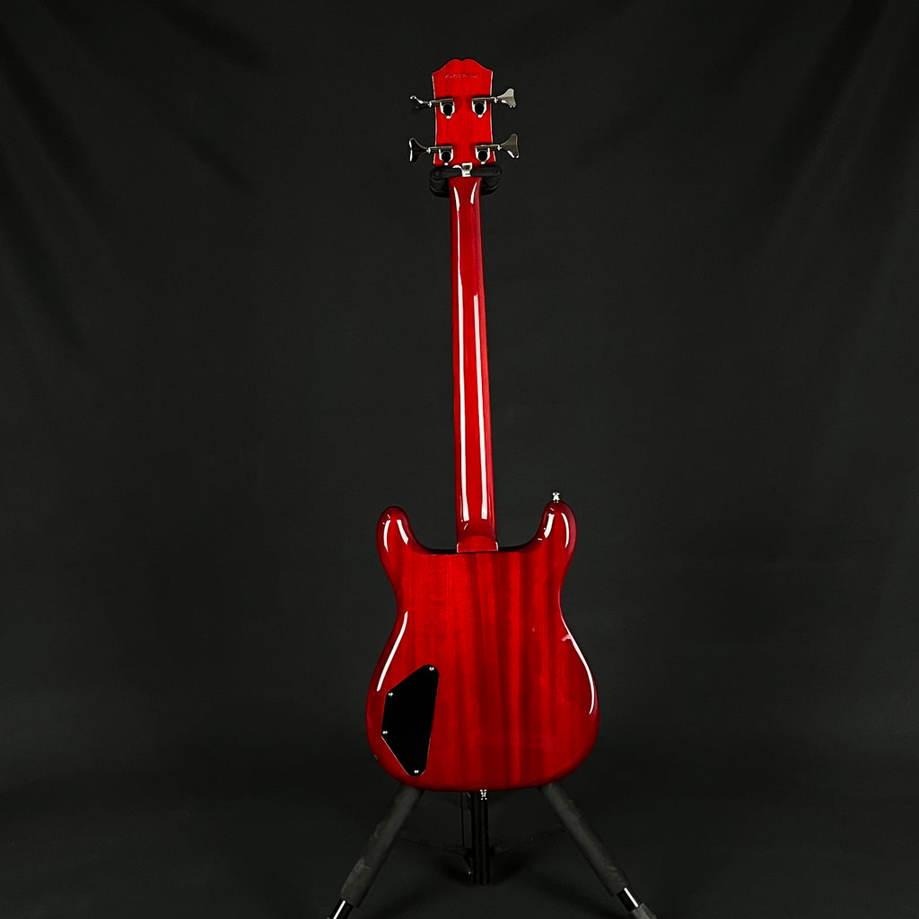 Epiphone Newport Bass 2023