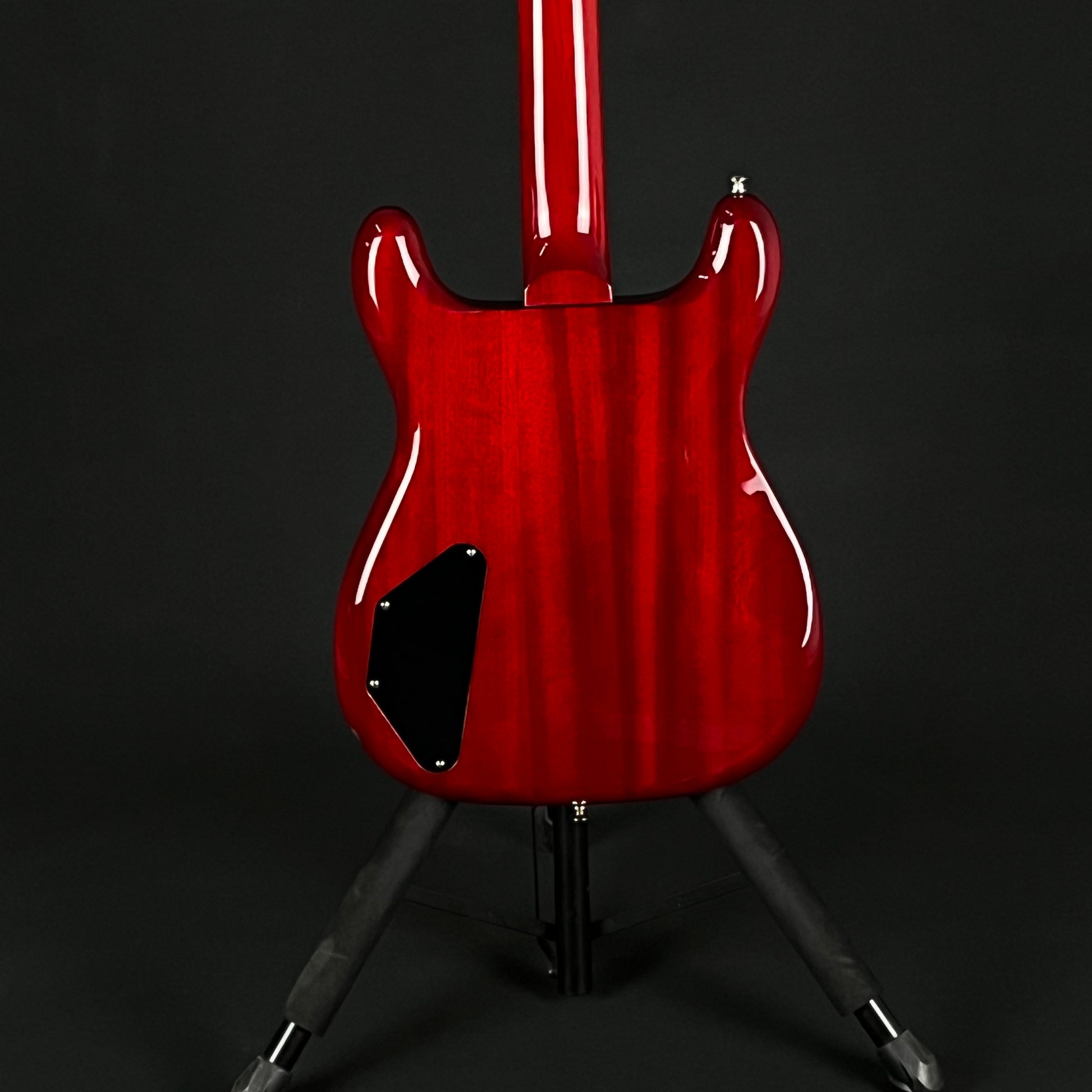 Epiphone Newport Bass 2023