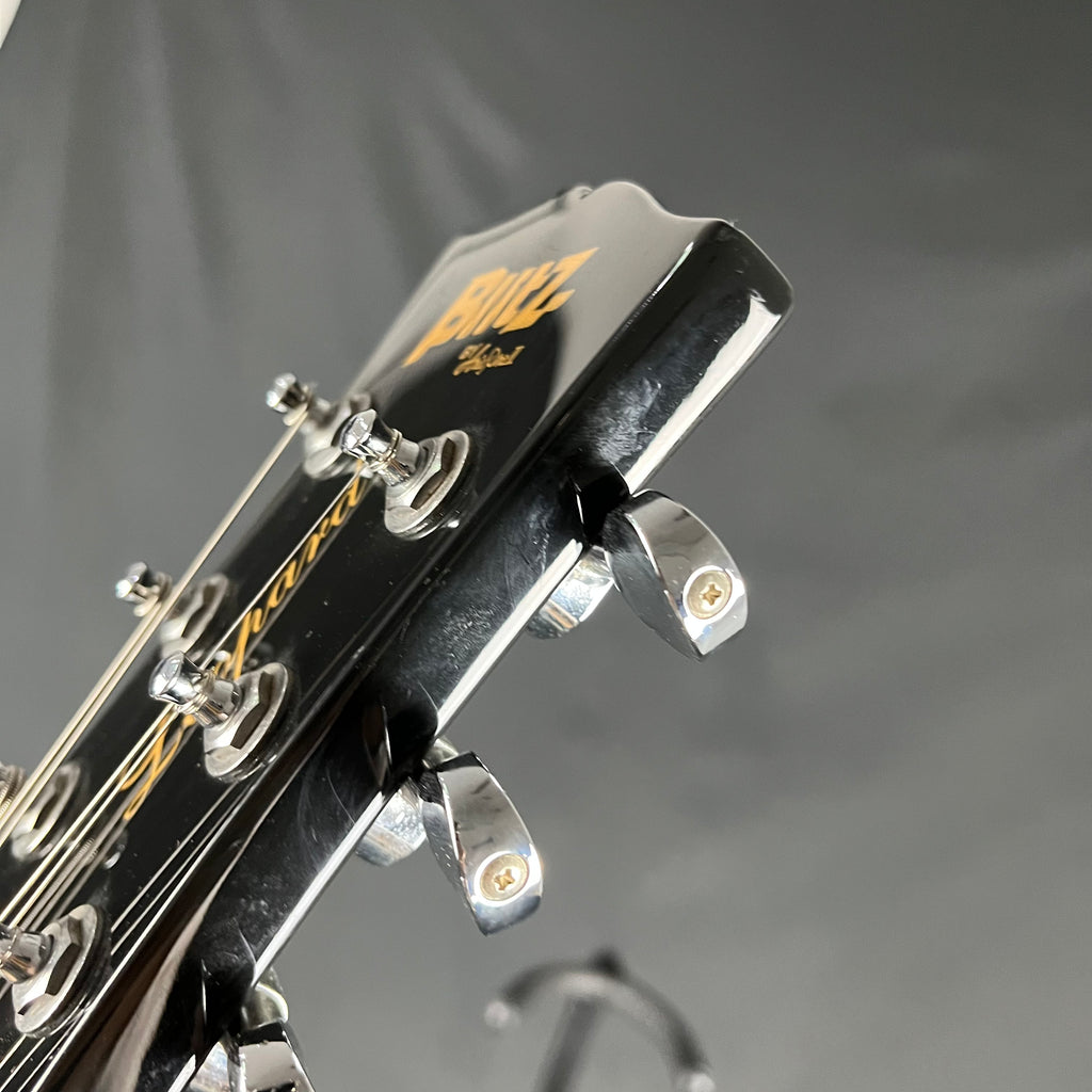 Blitz by Aria Pro II BLP-SPL