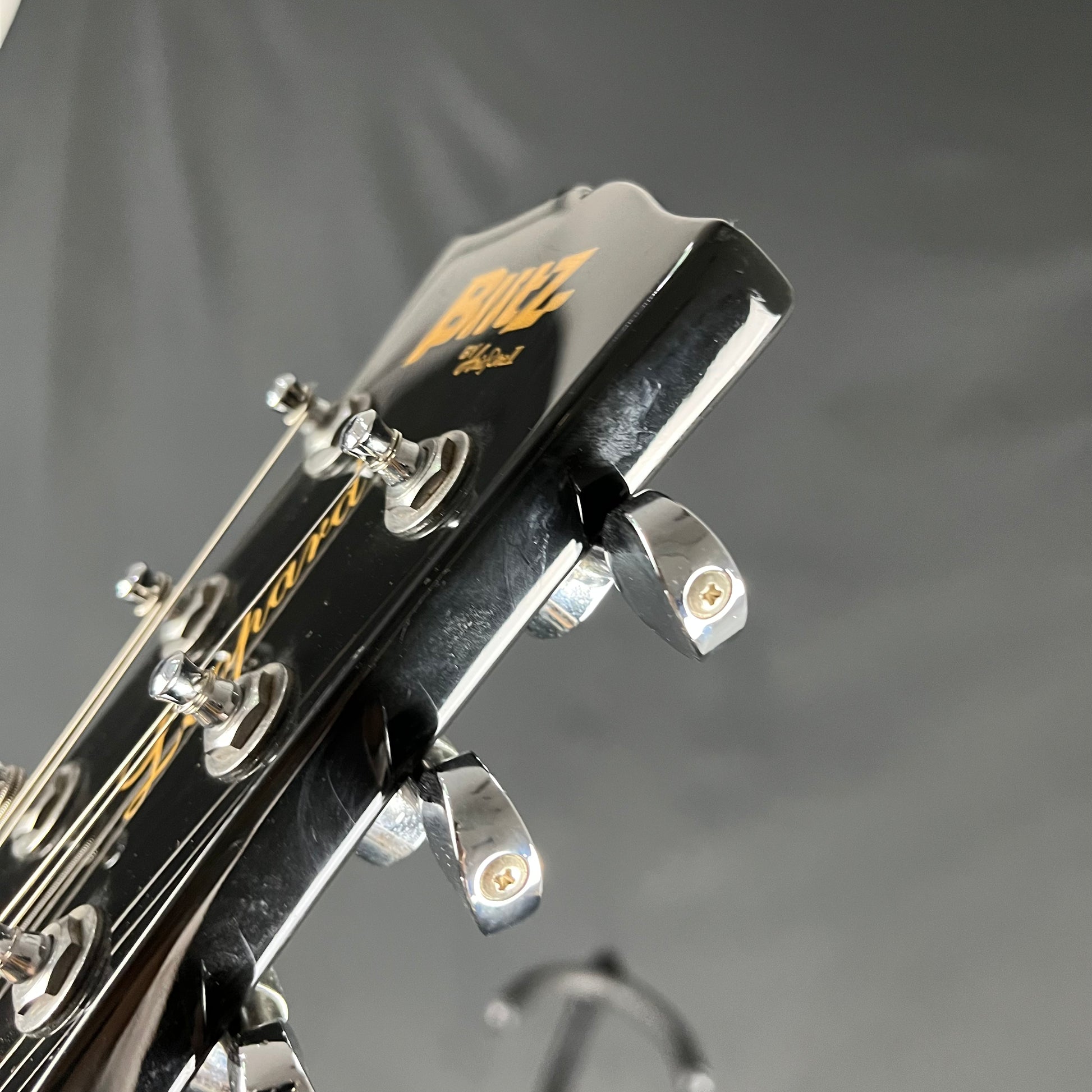 Blitz by Aria Pro II BLP-SPL