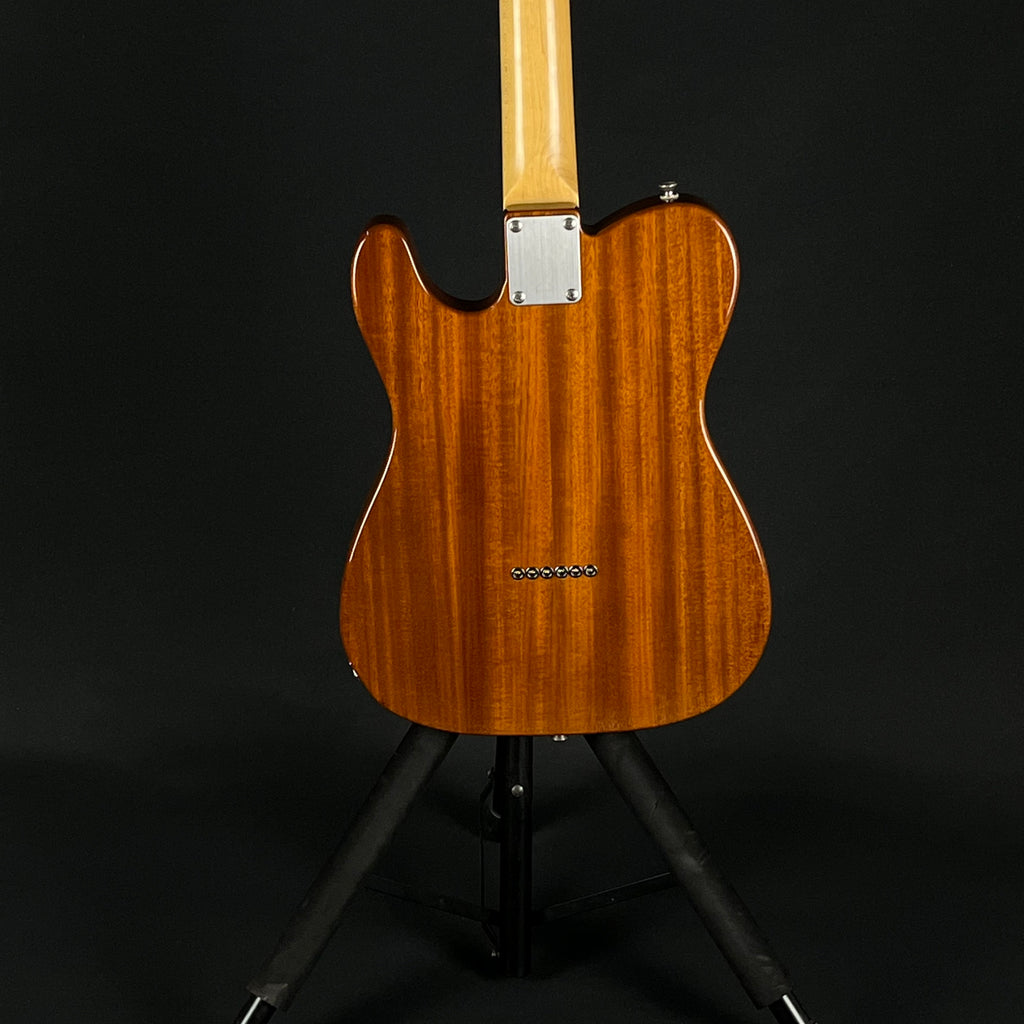 FGN Japan NTL-103 Telecaster Thinline Mahogany