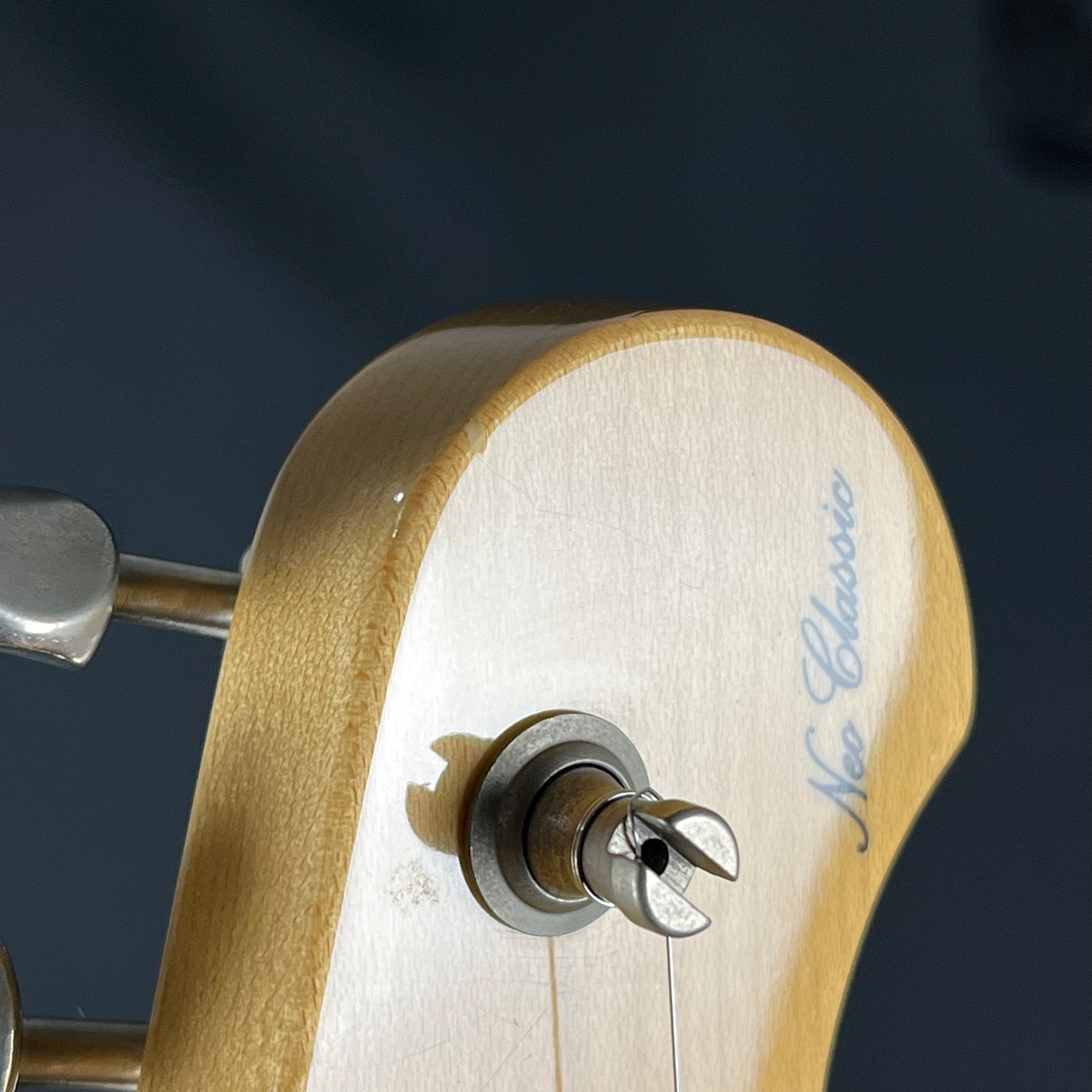 FGN Japan NTL-103 Telecaster Thinline Mahogany