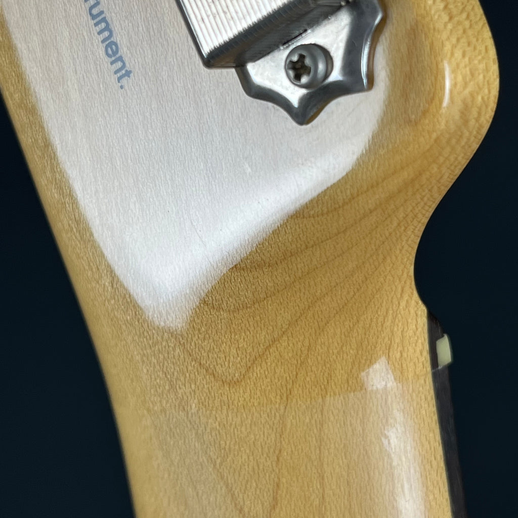 FGN Japan NTL-103 Telecaster Thinline Mahogany