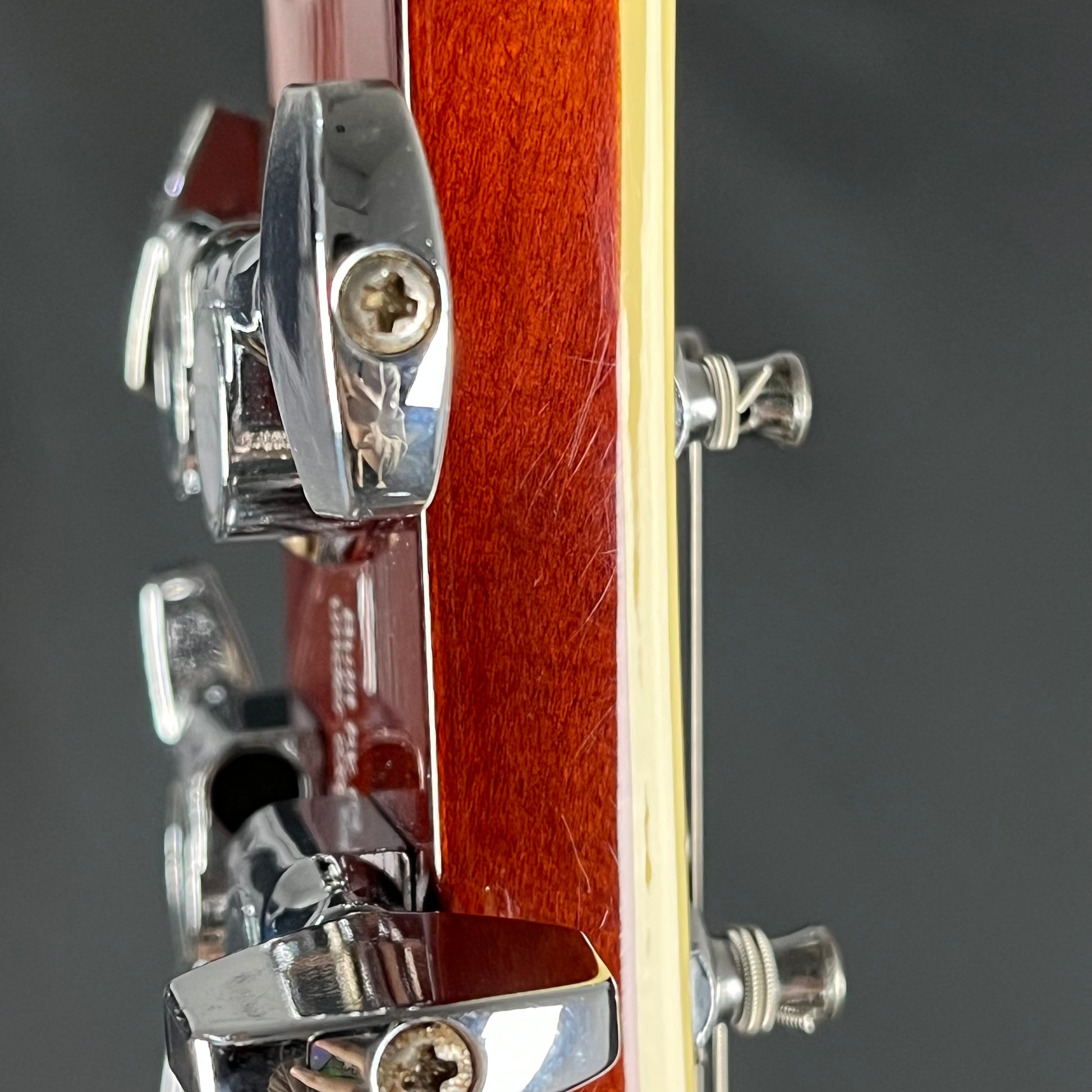 PRS SE Custom Ziricote 2019