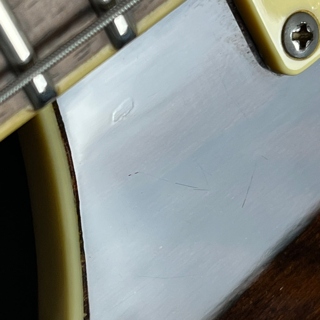 PRS SE Custom Ziricote 2019