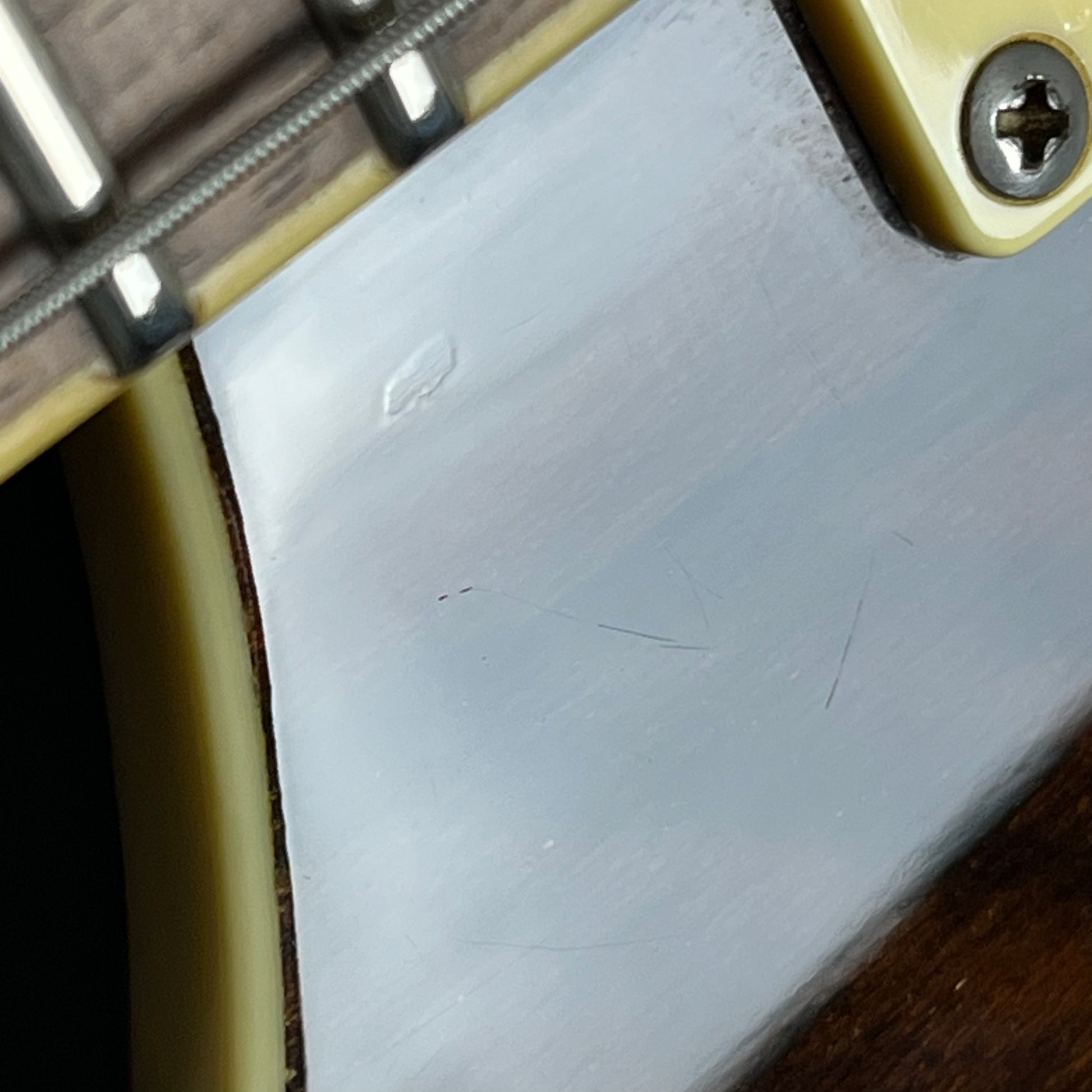PRS SE Custom Ziricote 2019