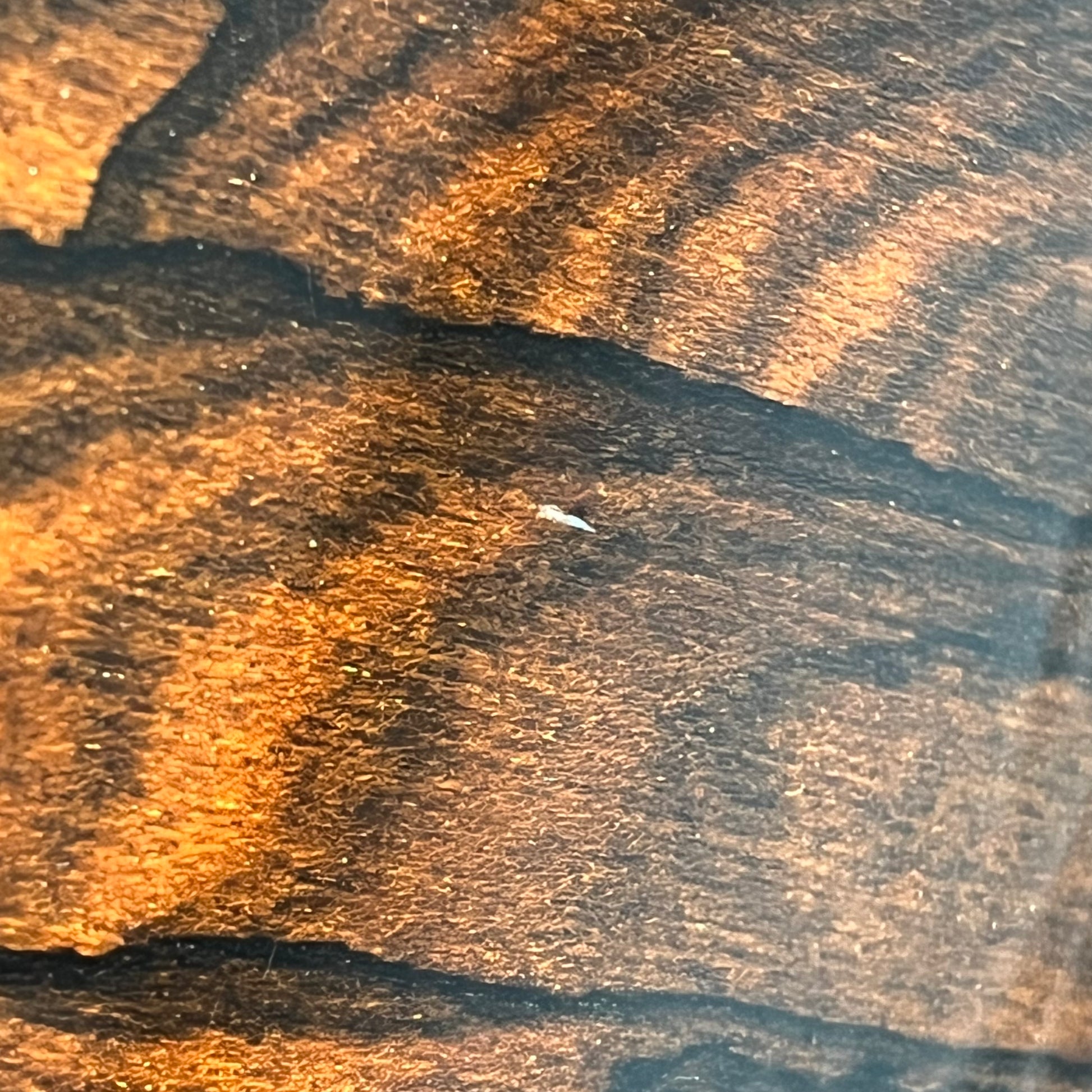 PRS SE Custom Ziricote 2019