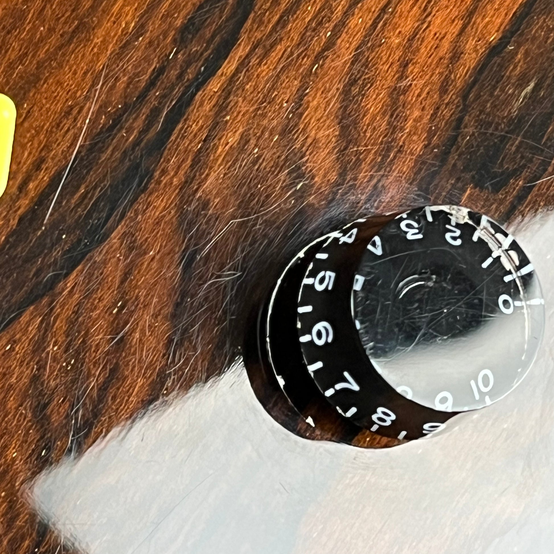 PRS SE Custom Ziricote 2019