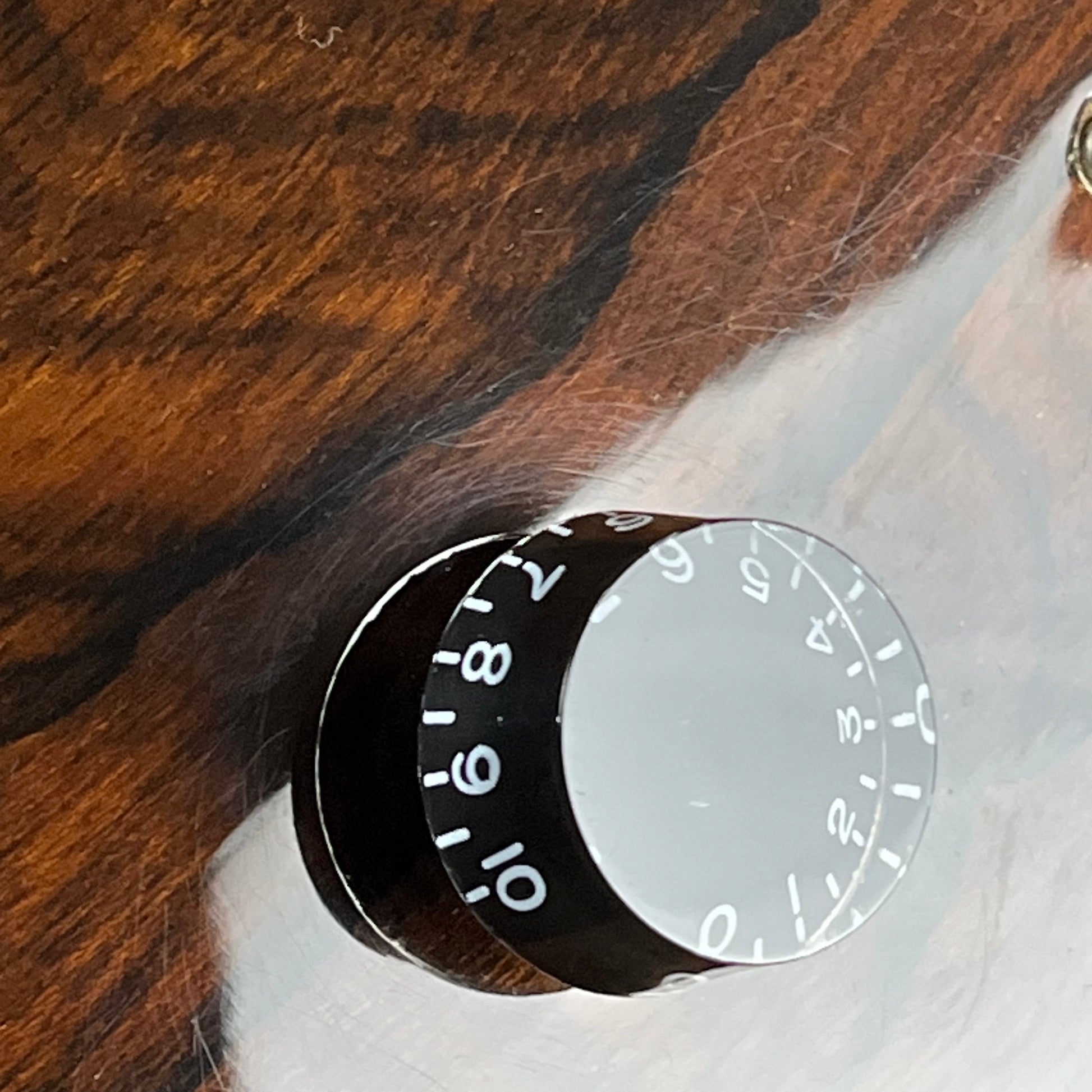 PRS SE Custom Ziricote 2019
