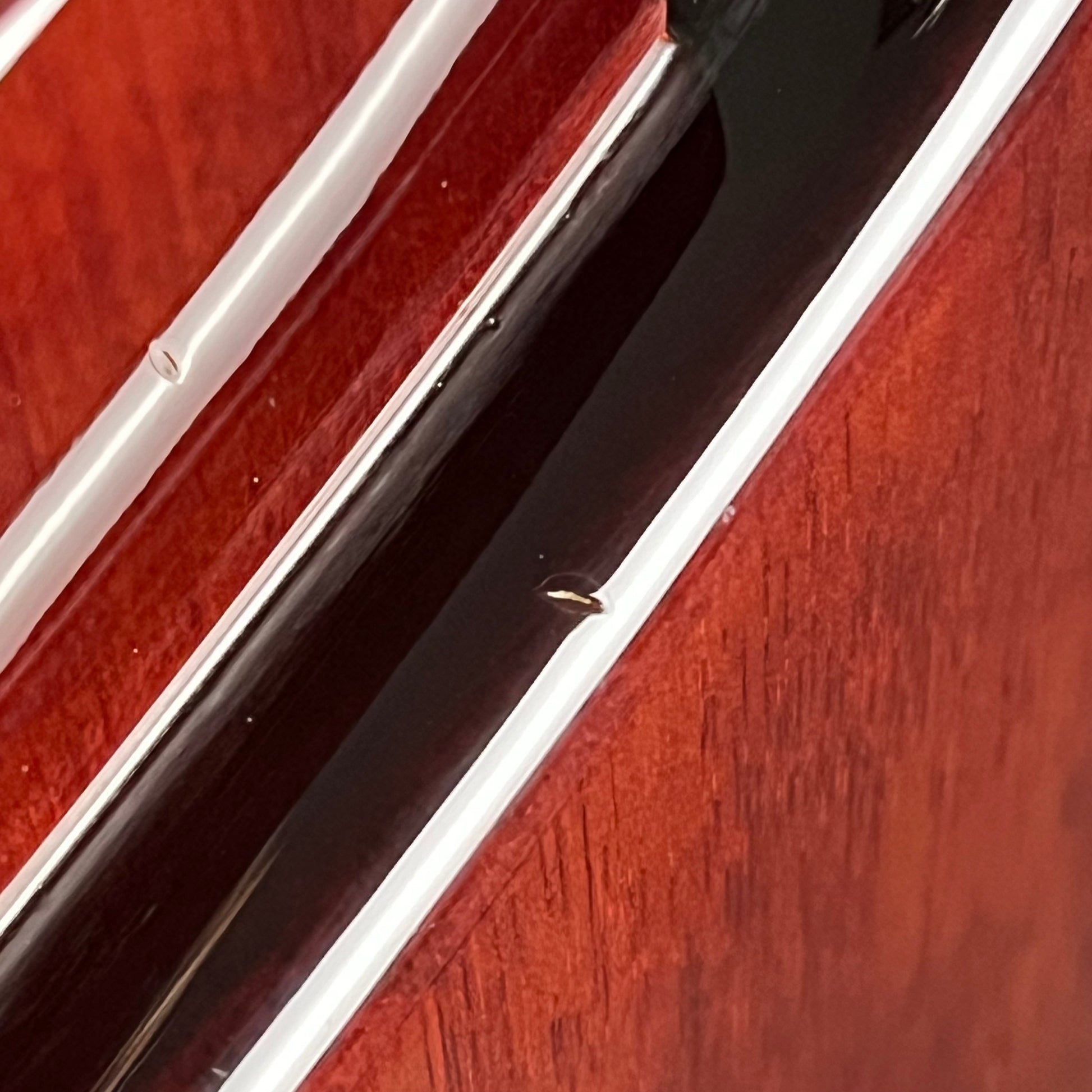 PRS SE Custom Ziricote 2019