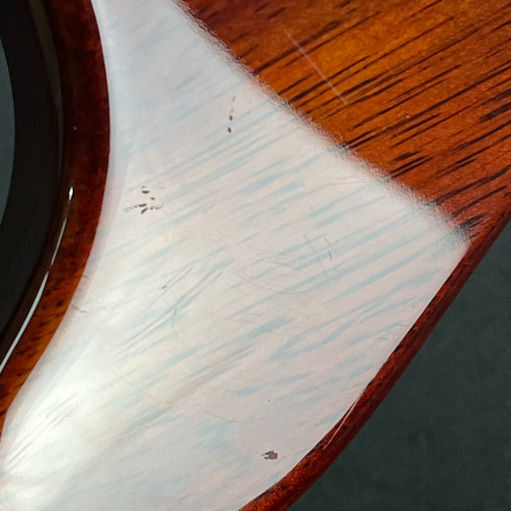 PRS SE Custom Ziricote 2019