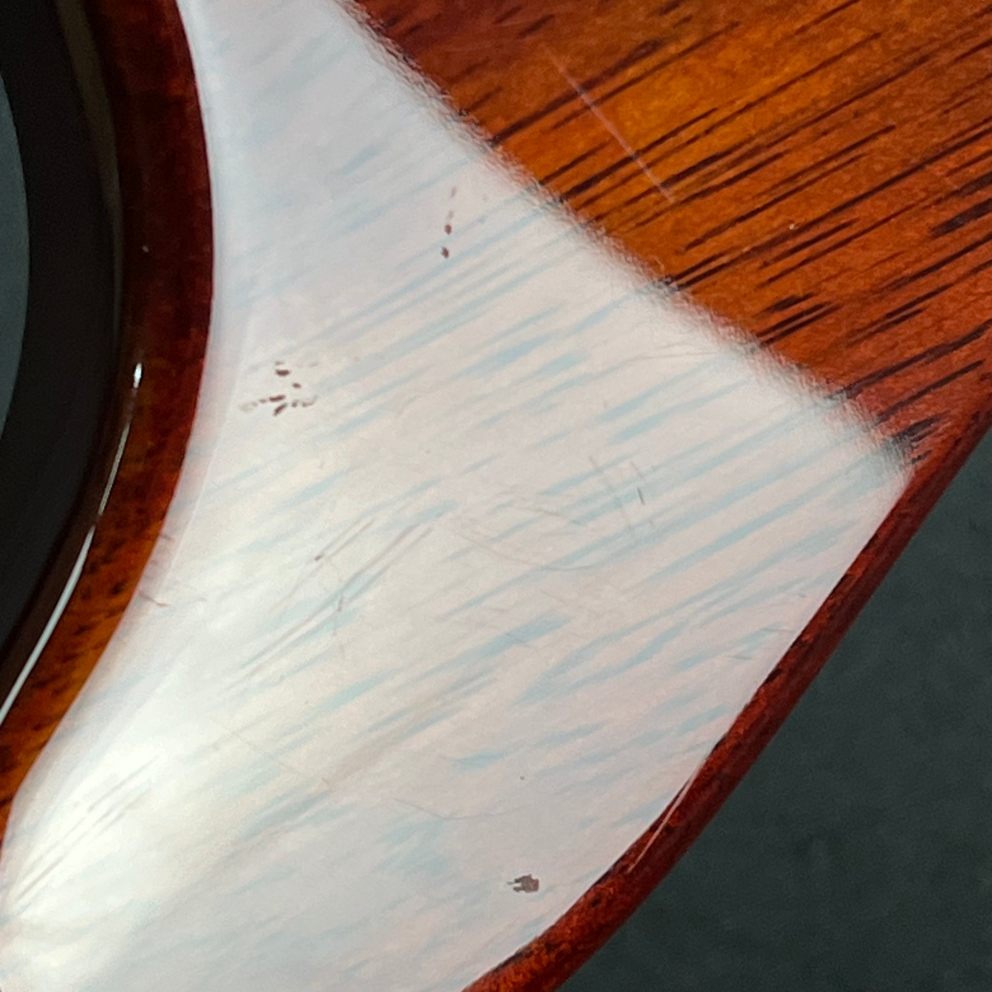 PRS SE Custom Ziricote 2019