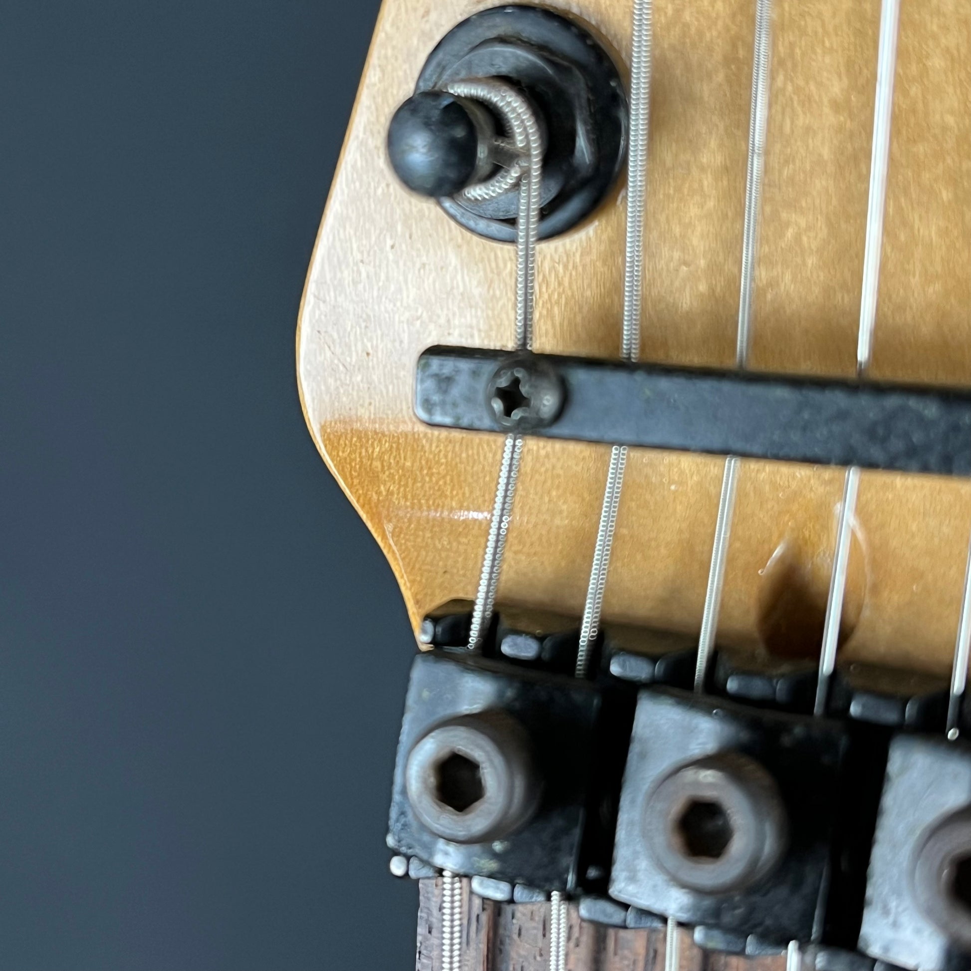 Bacchus Stratocaster FR