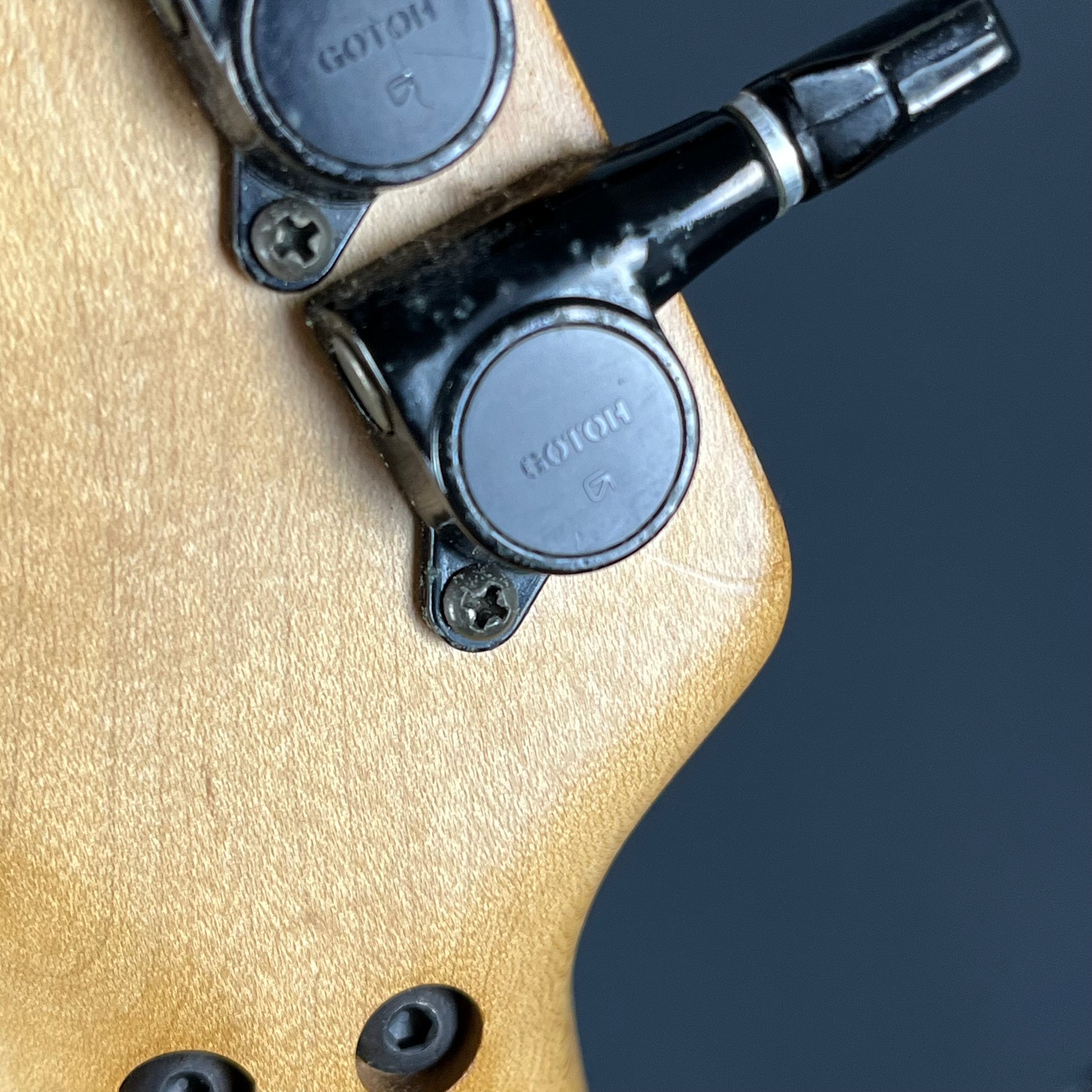 Bacchus Stratocaster FR