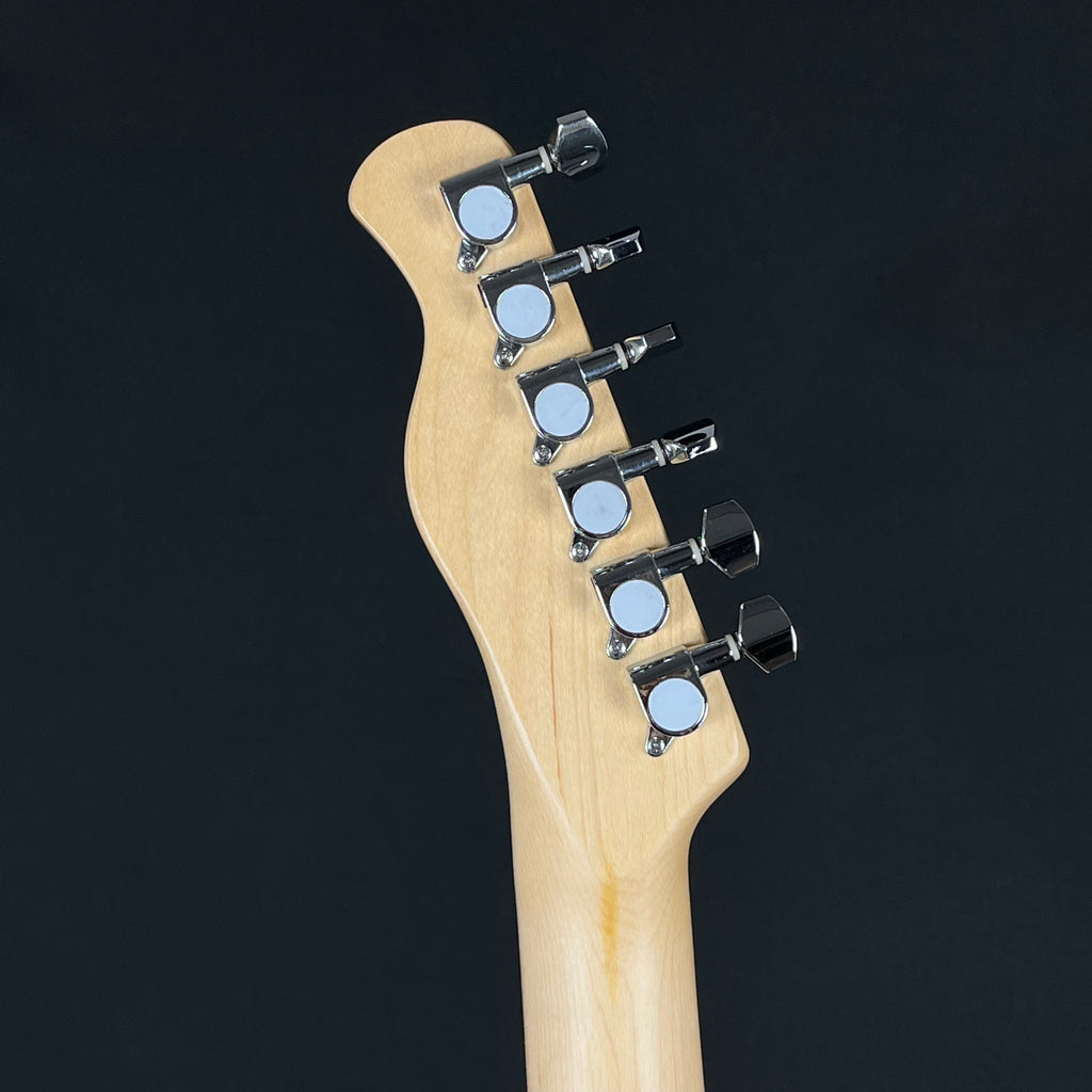 Bacchus Universe Series Telecaster