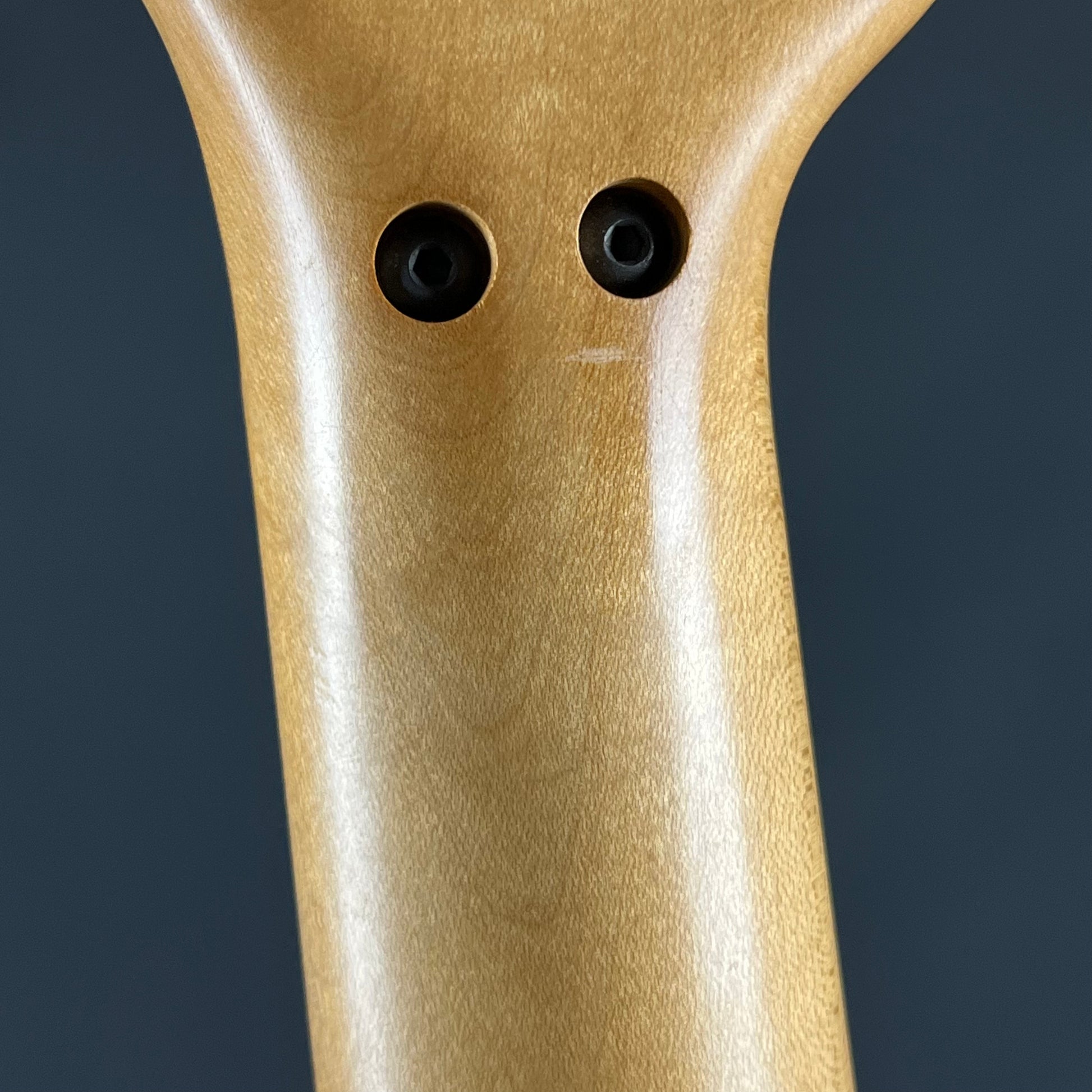 Bacchus Stratocaster FR