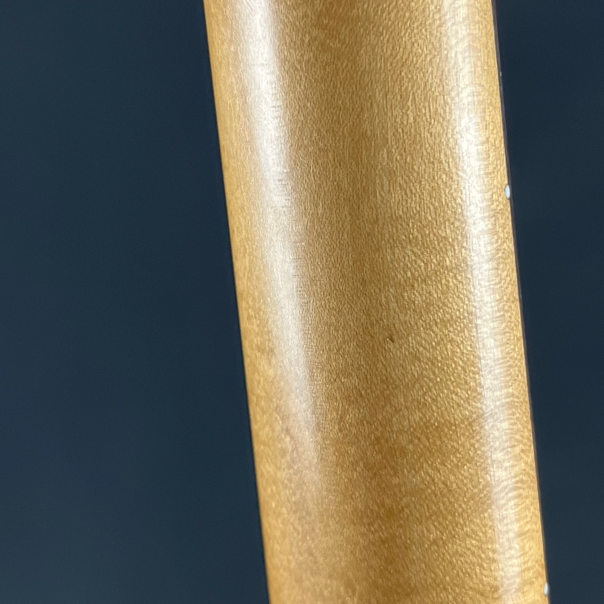 Bacchus Stratocaster FR