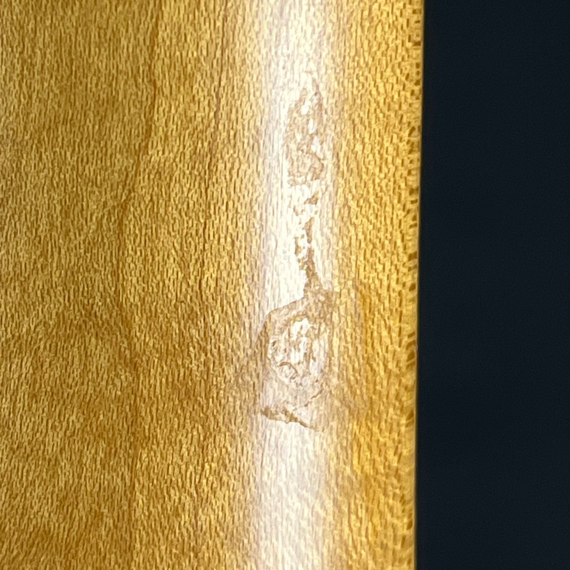 Fender Mexico Telecaster