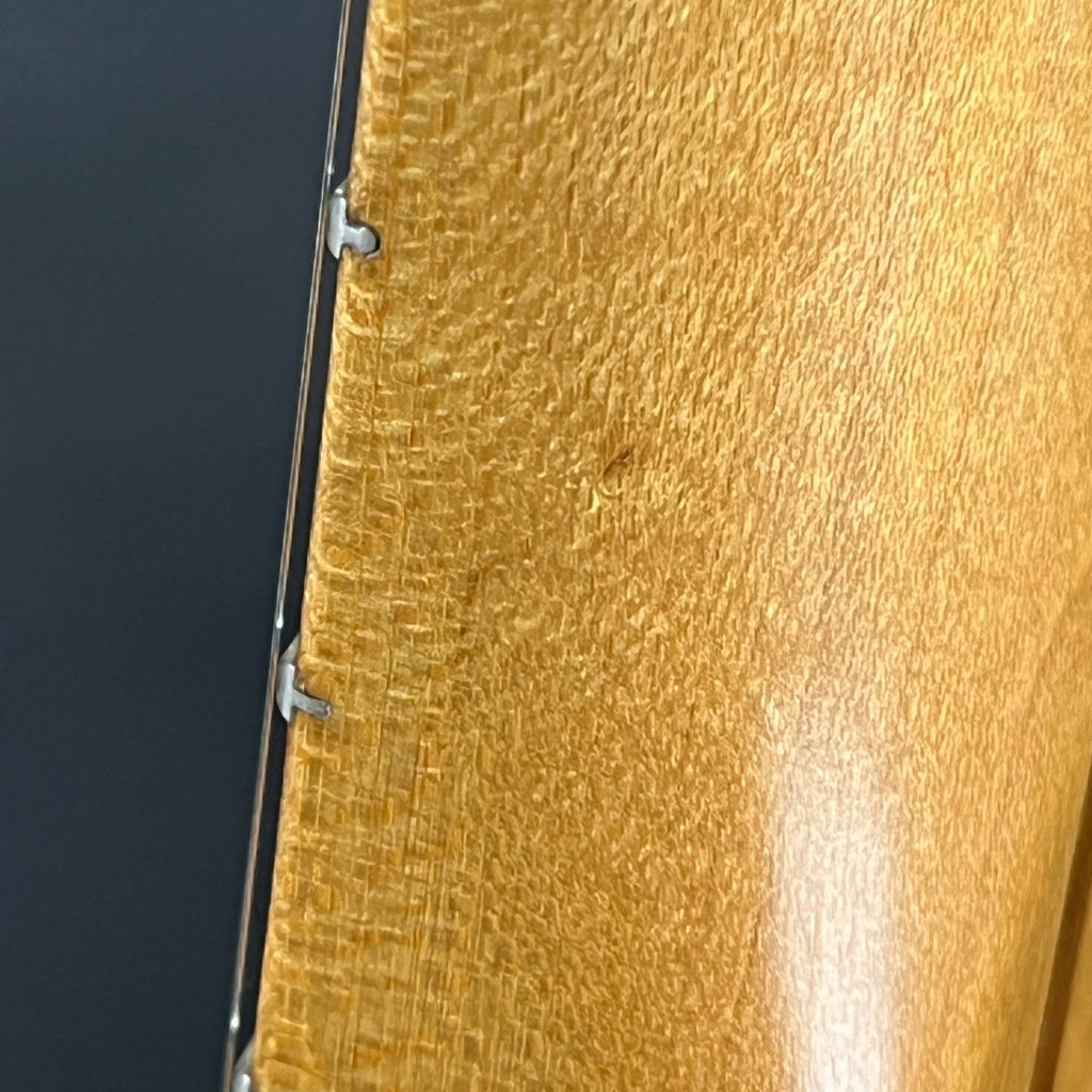 Fender Mexico Telecaster