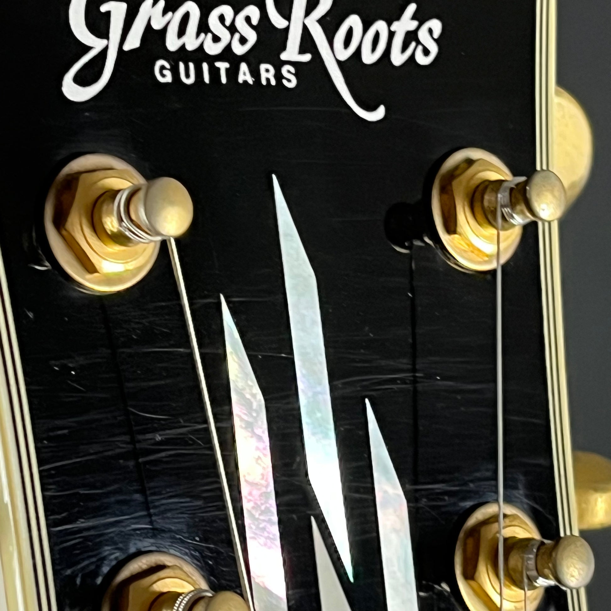 GrassRoots G-LP-60C
