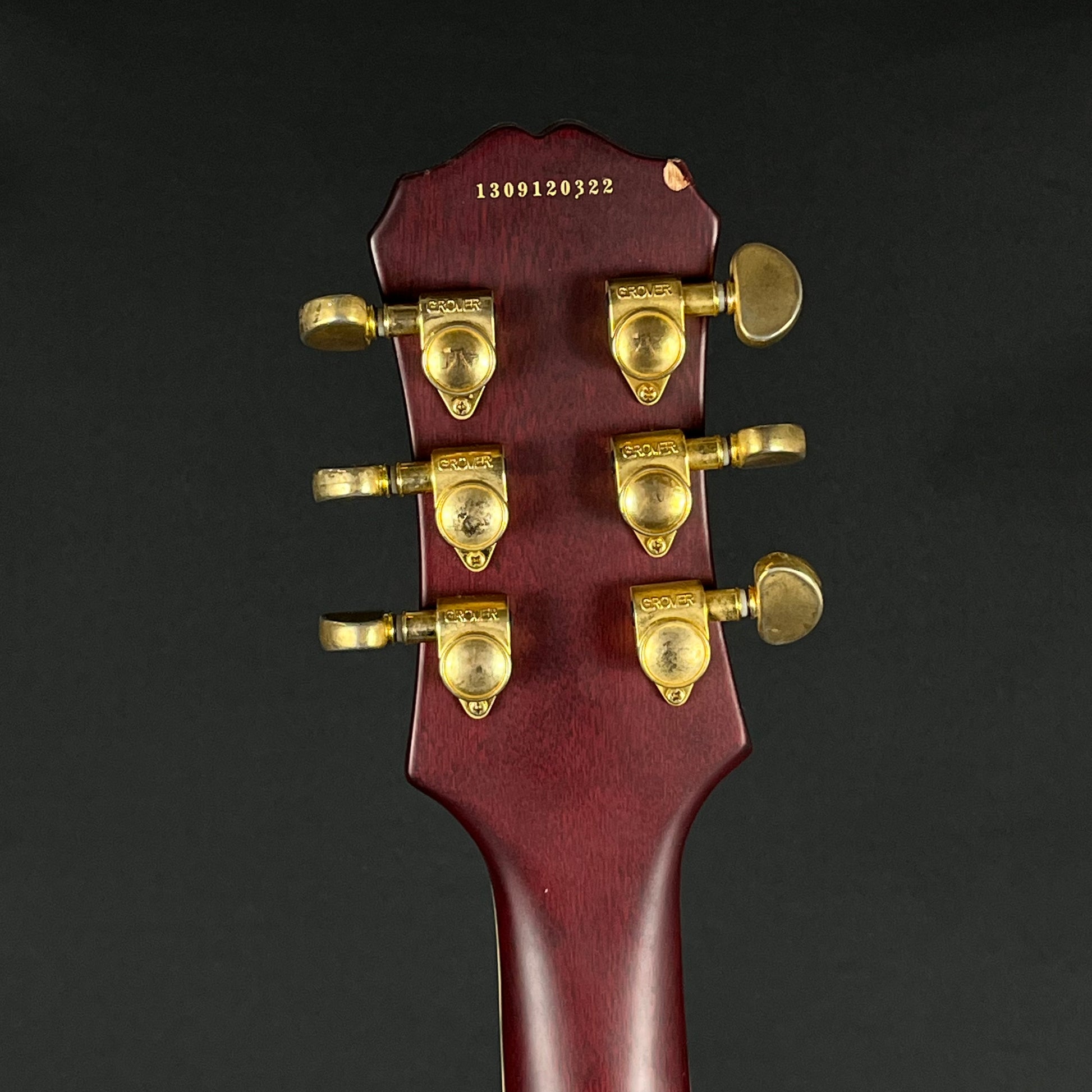 Epiphone Les Paul Custom Prophecy Plus 2013