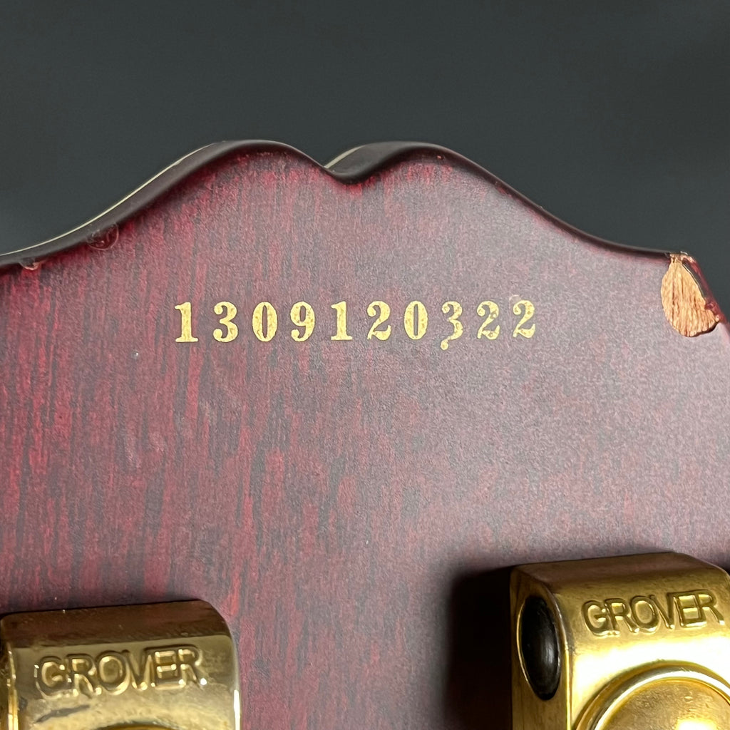 Epiphone Les Paul Custom Prophecy Plus 2013