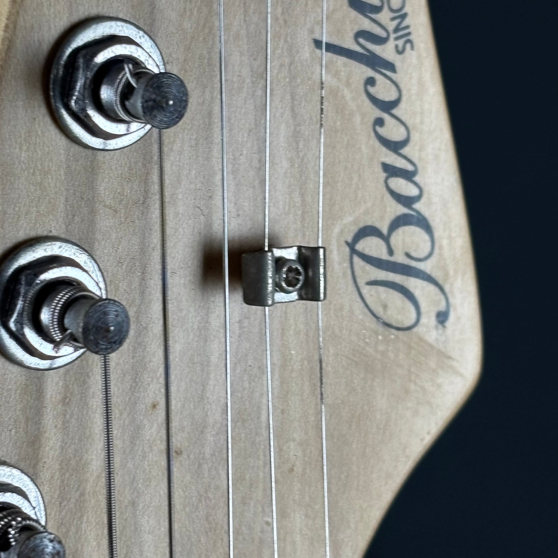 Bacchus Universe Series Stratocaster